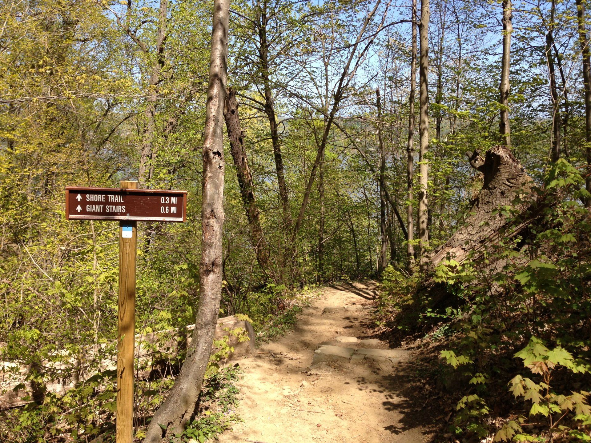 Palisades Park gallery image 2