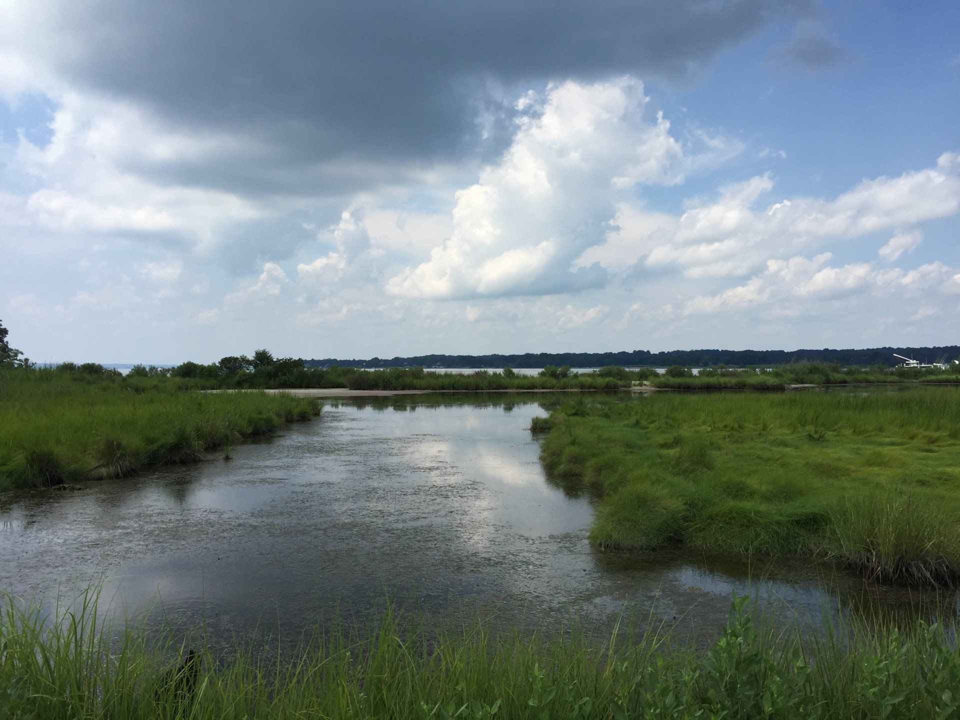 River Edge gallery image 1