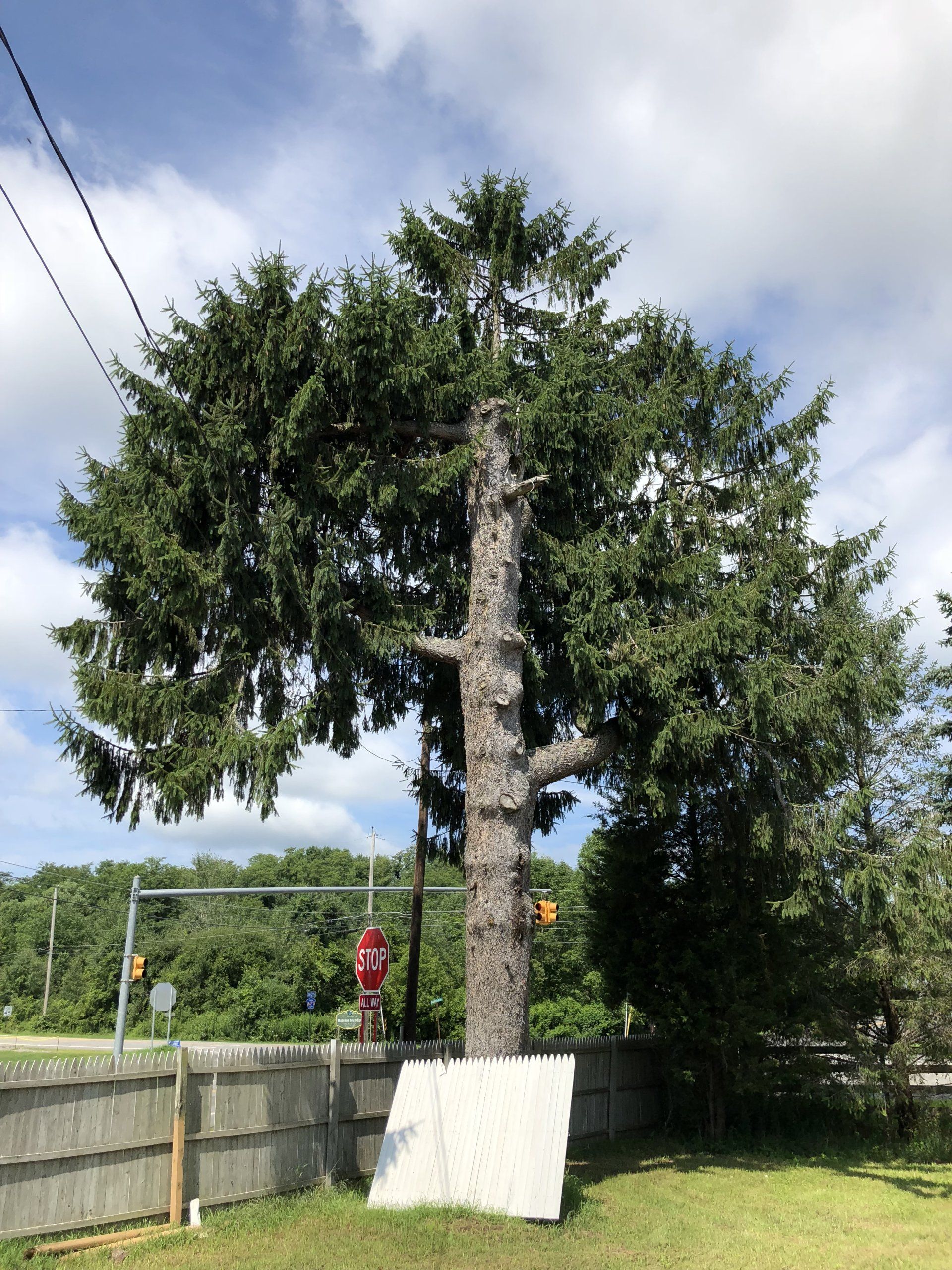 Frankford gallery image 3