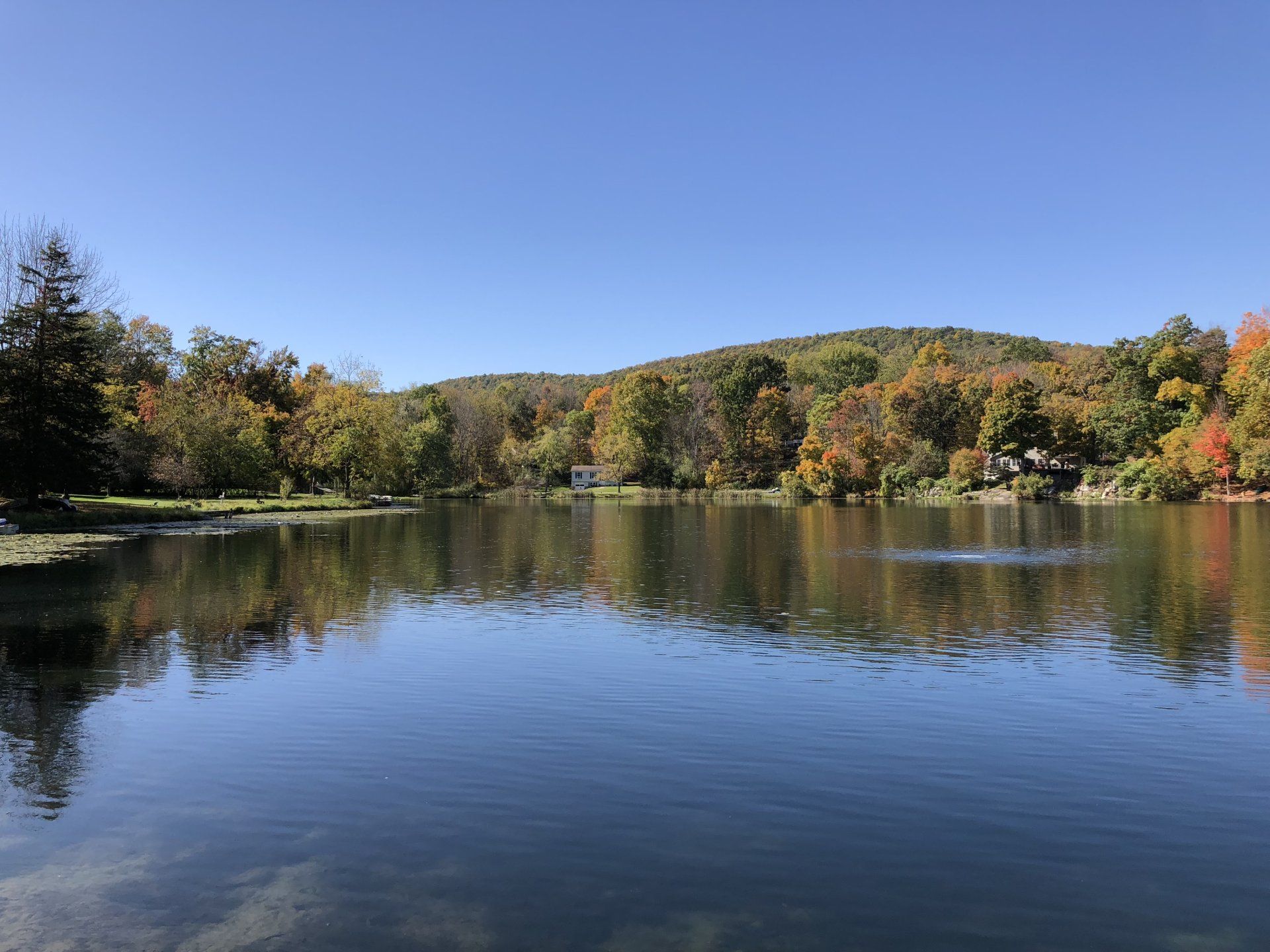 Vernon gallery image 3