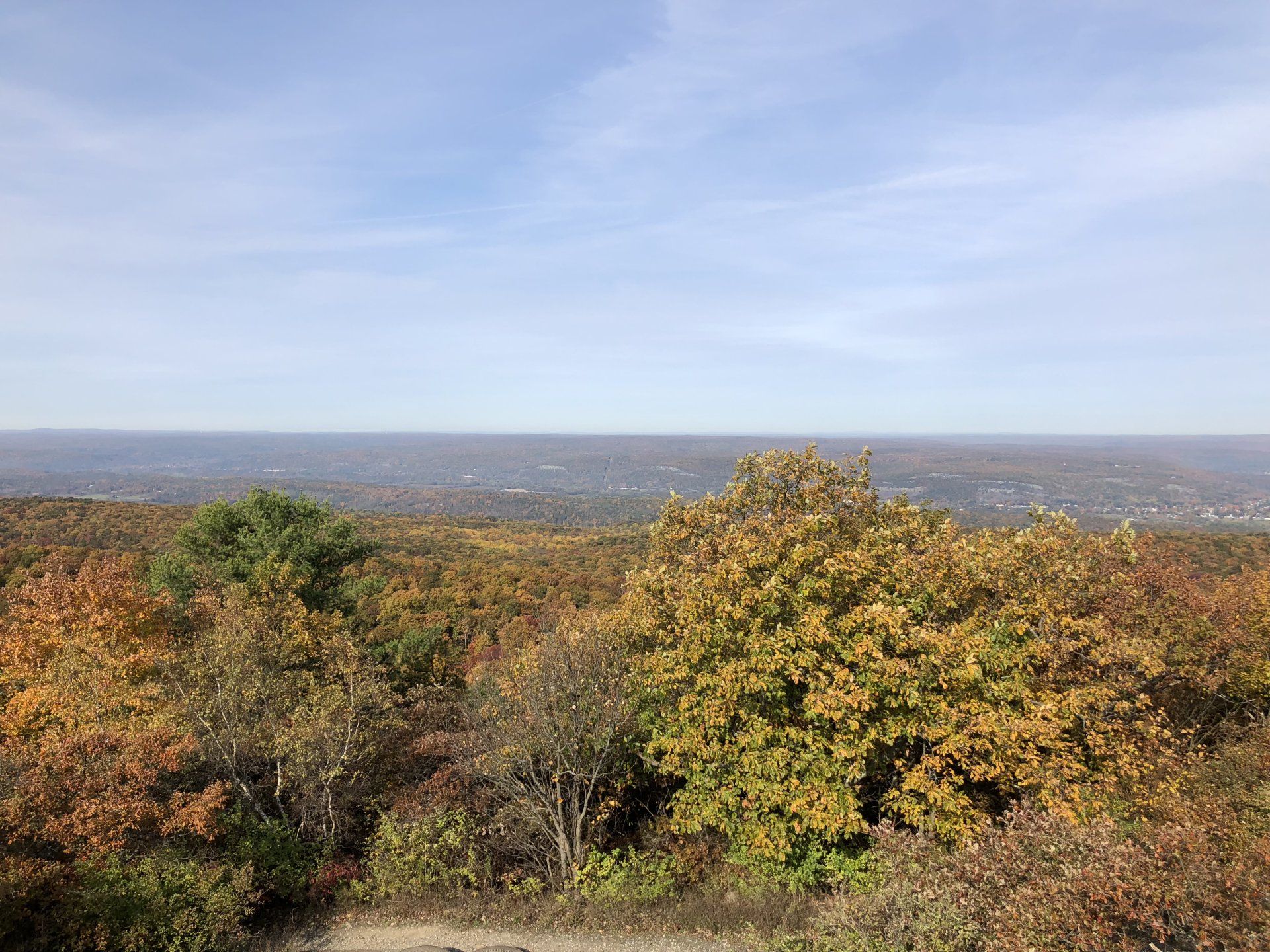 Montague gallery image 4