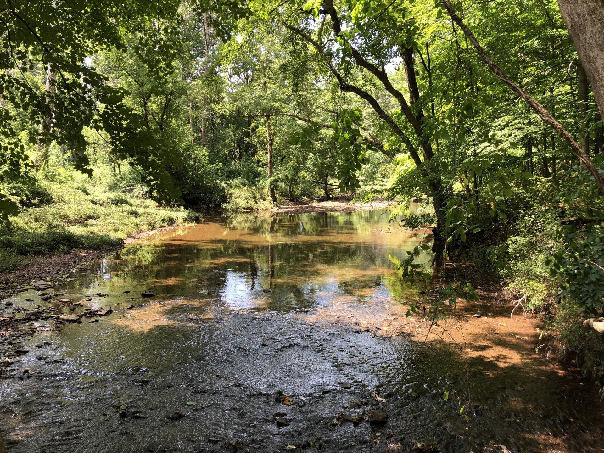 Green Brook Township gallery image 6