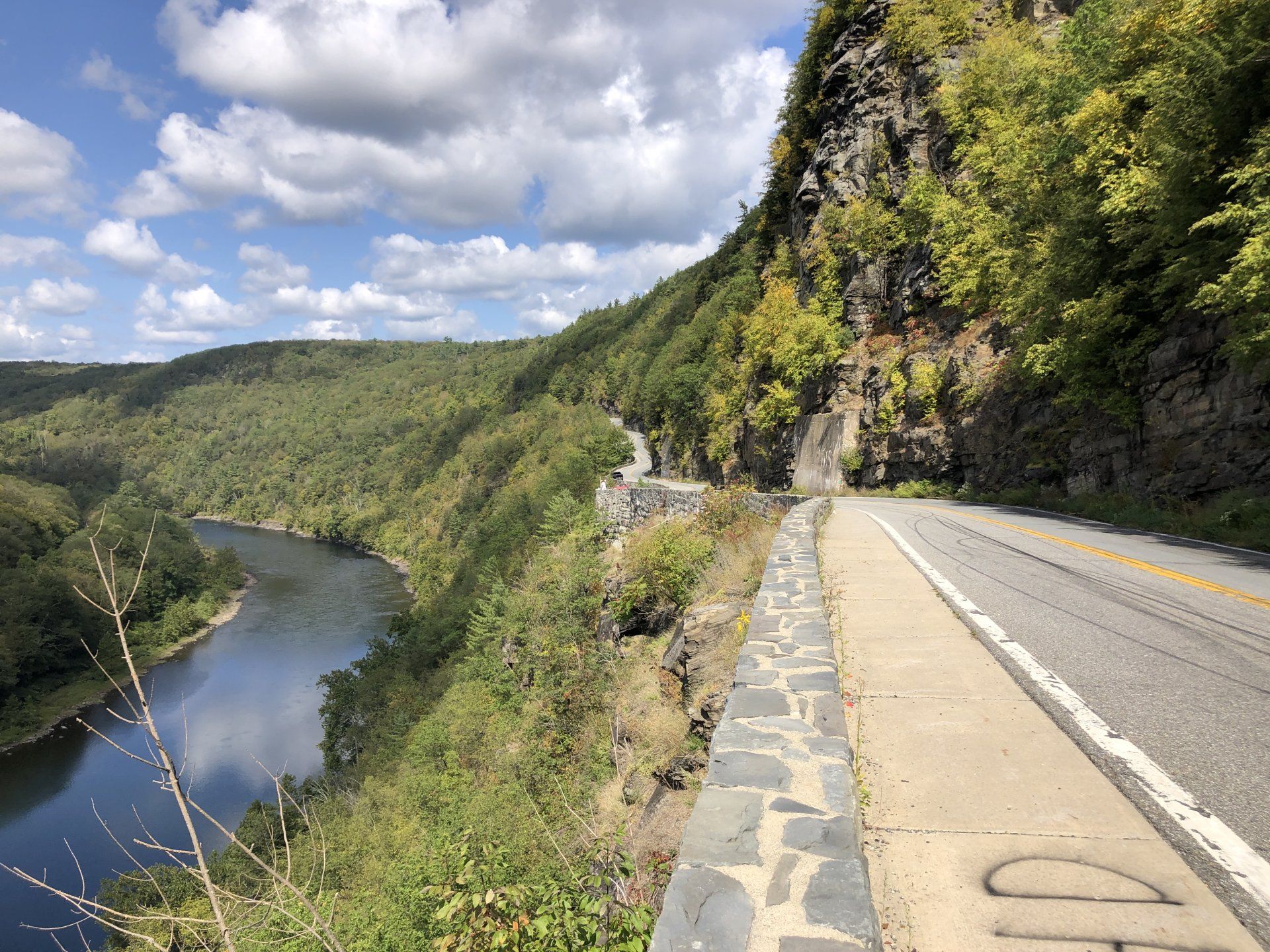 Deerpark gallery image 5