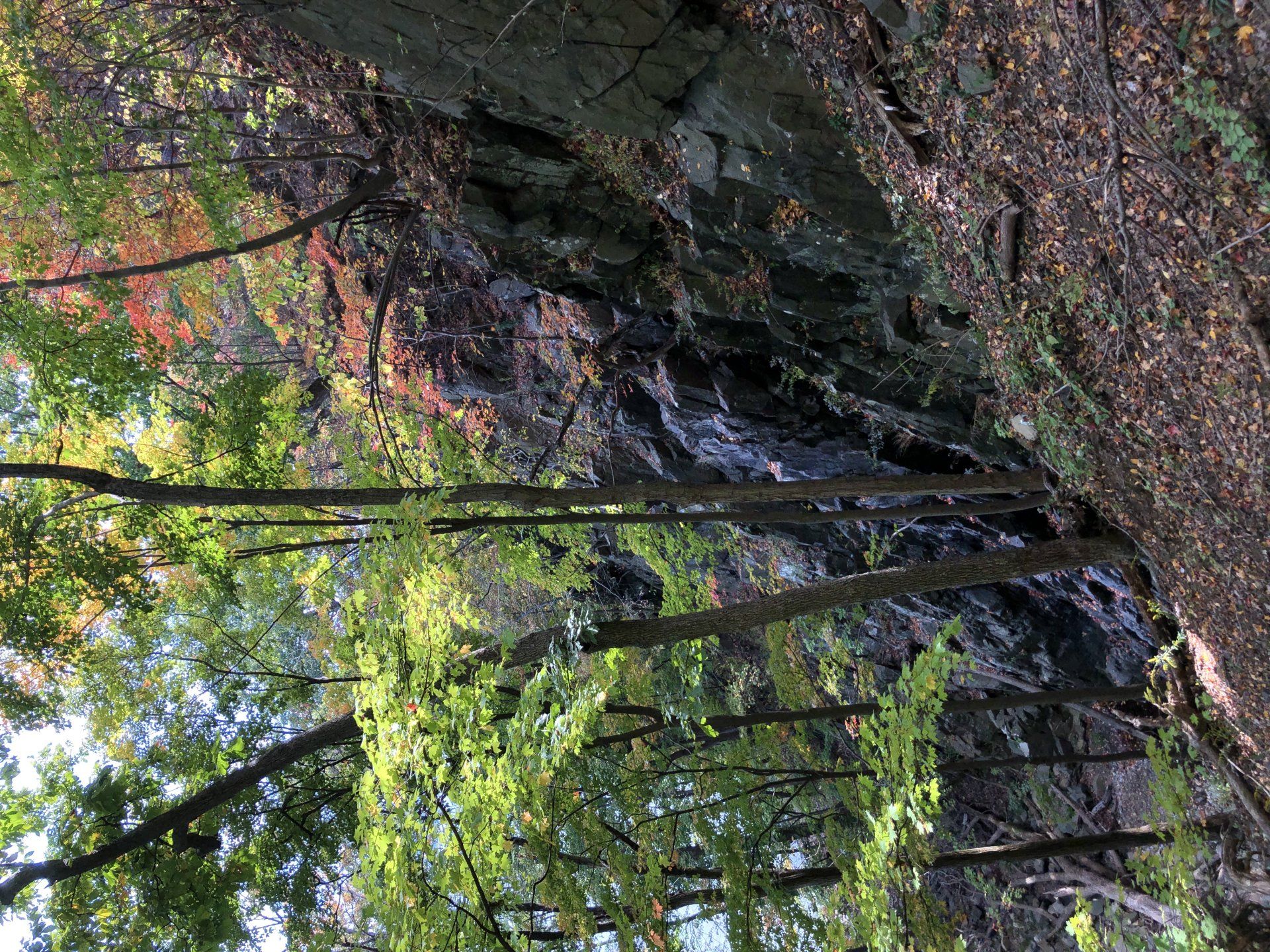 Orangetown gallery image 4