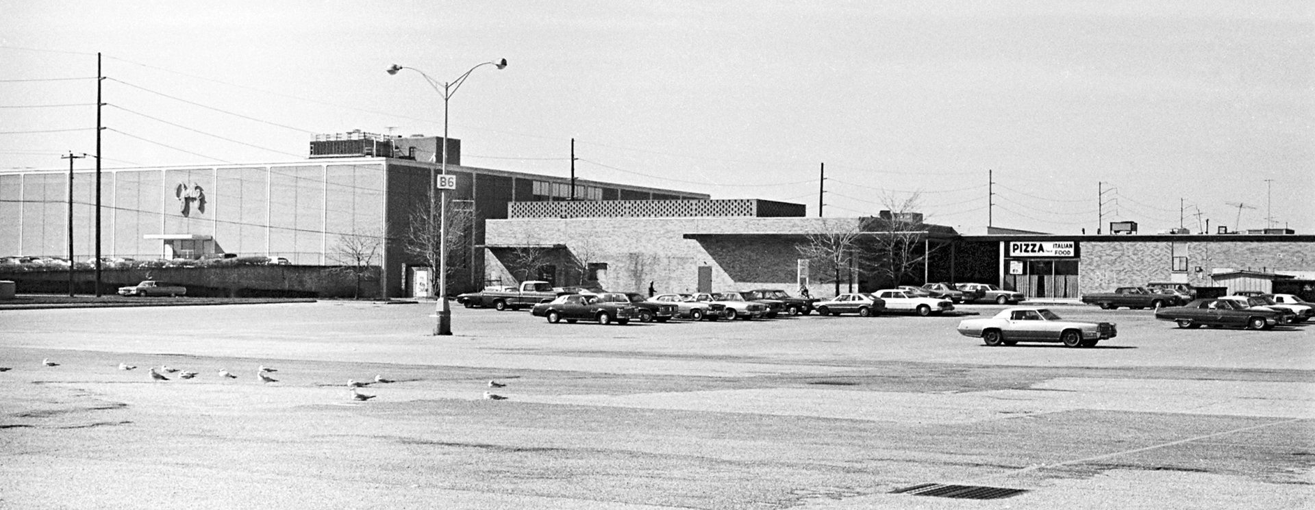 West Bay Shore gallery image 6