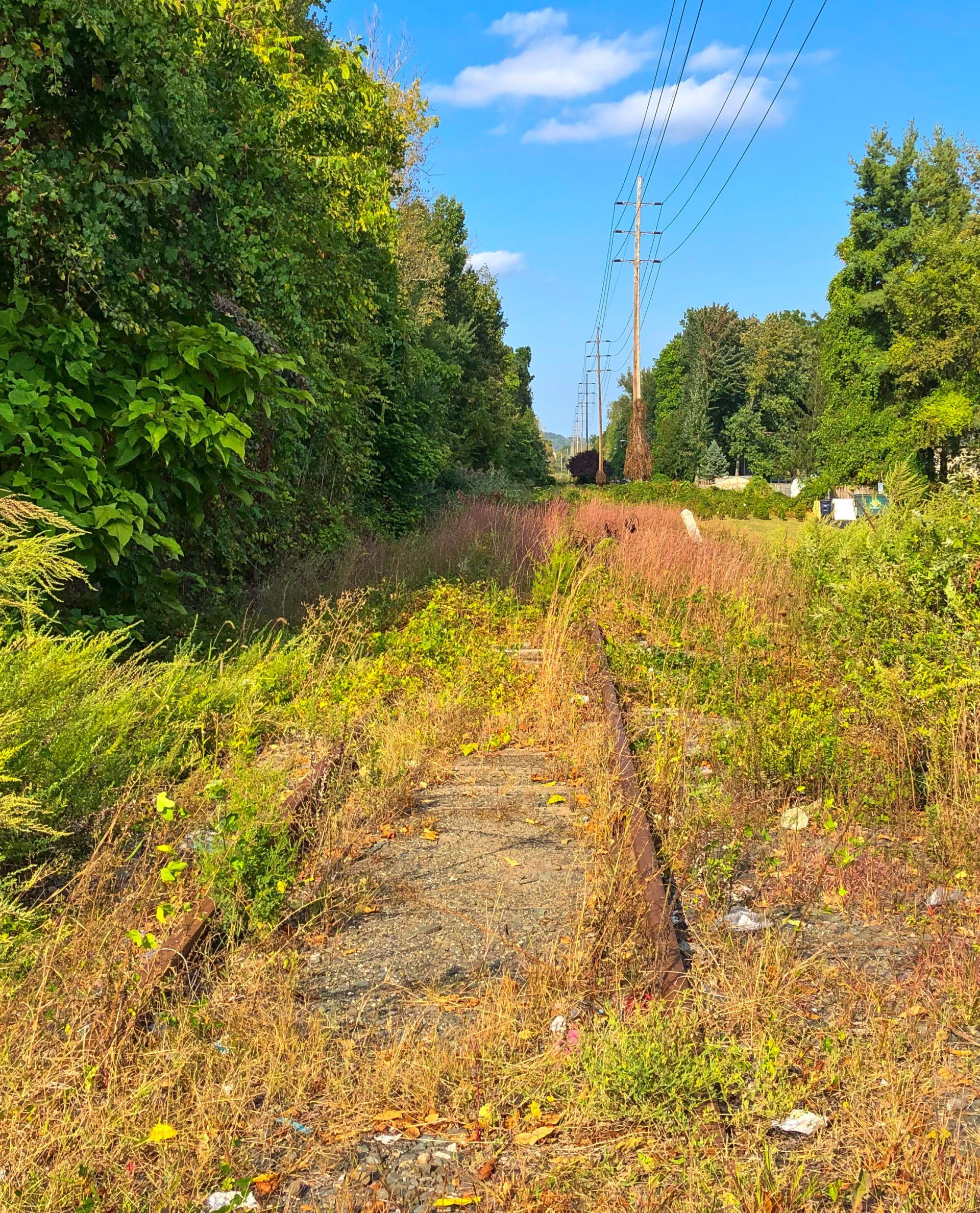 Northvale gallery image 4