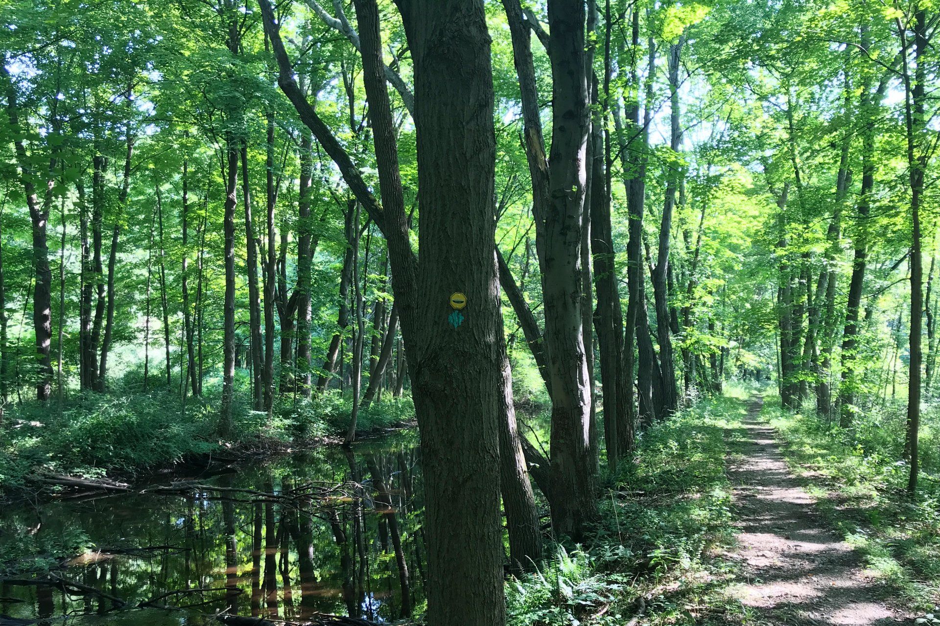 Allamuchy gallery image 3