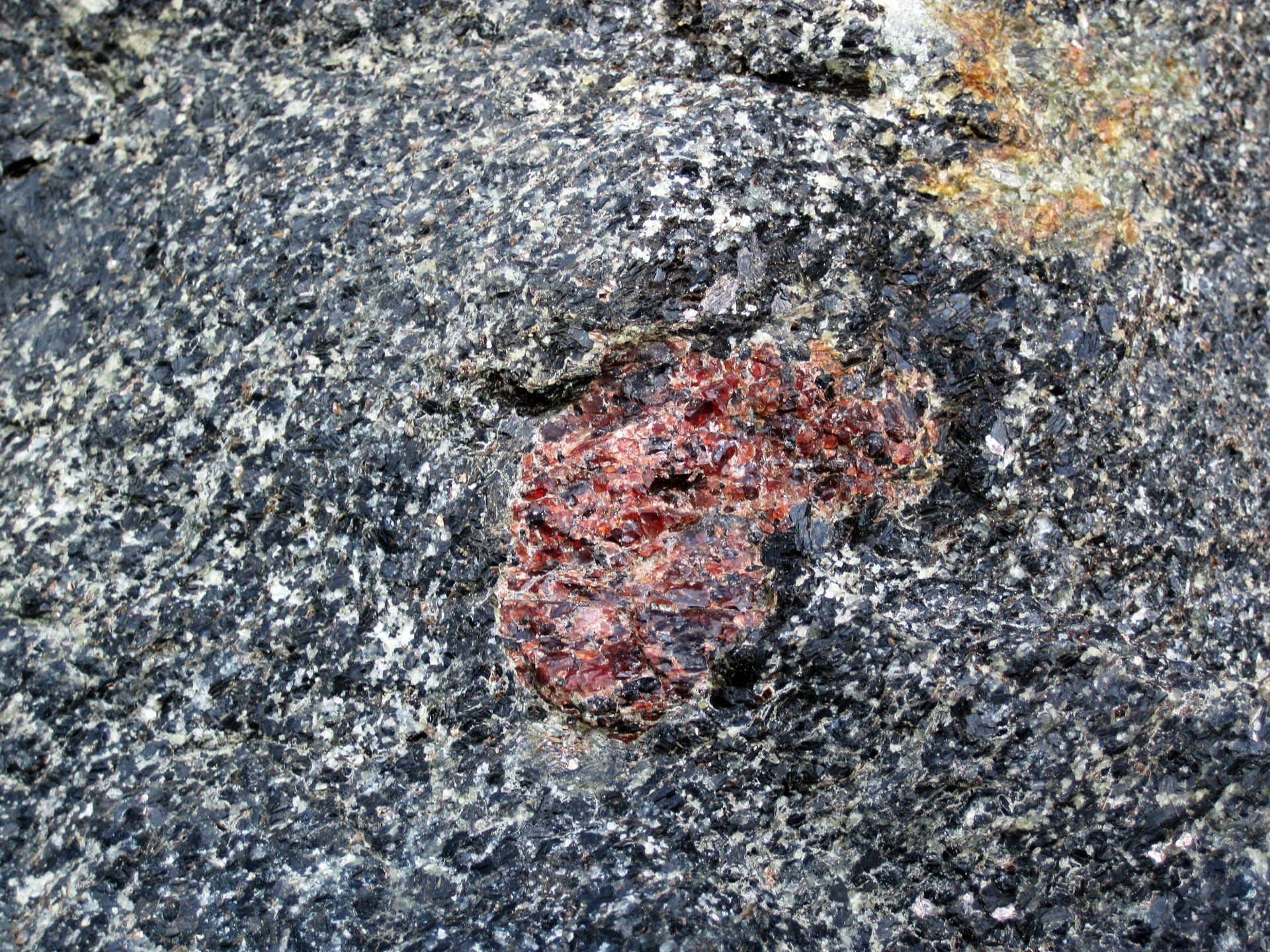 Ruby gallery image 3