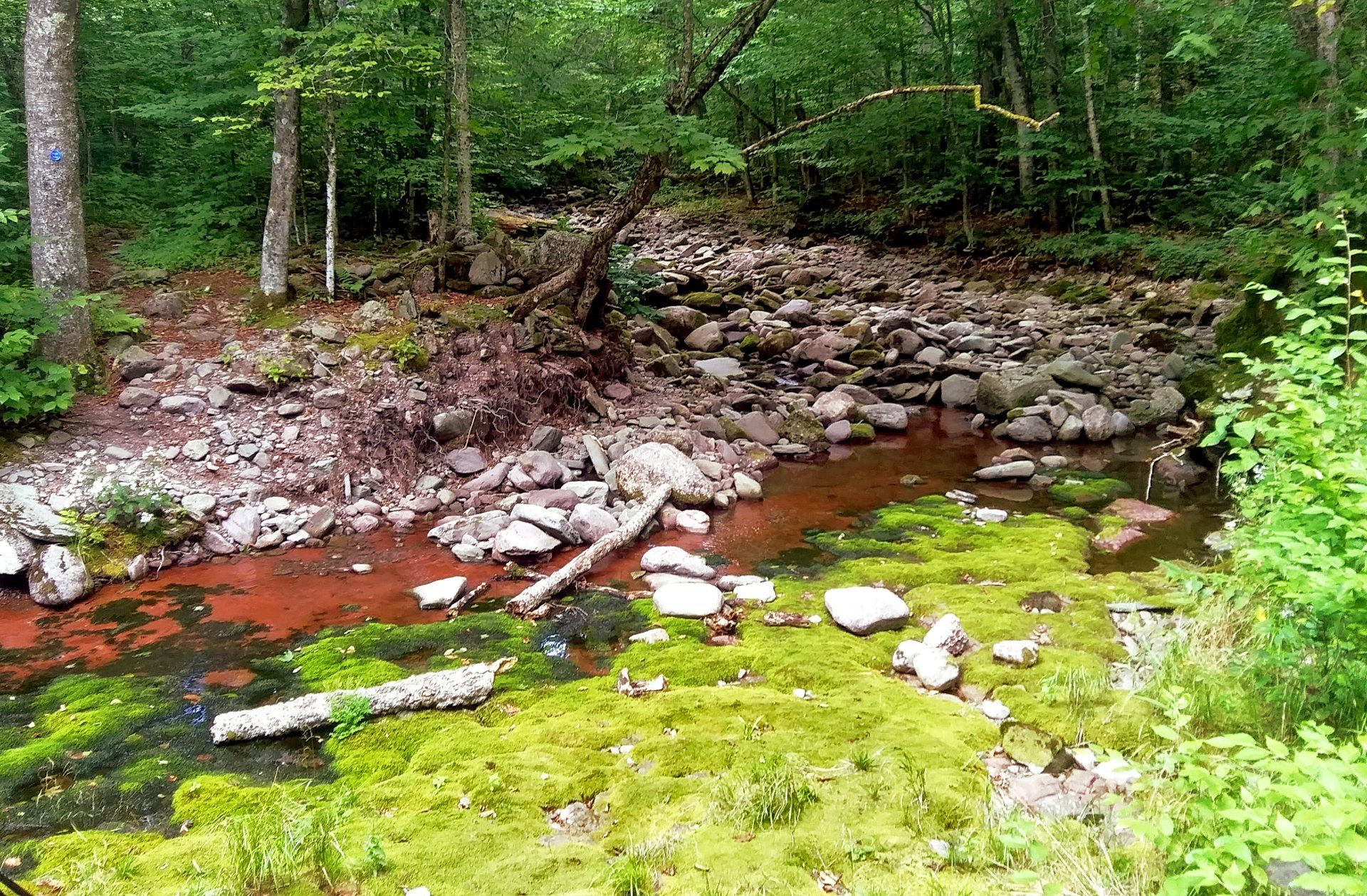 Rock Hill gallery image 3