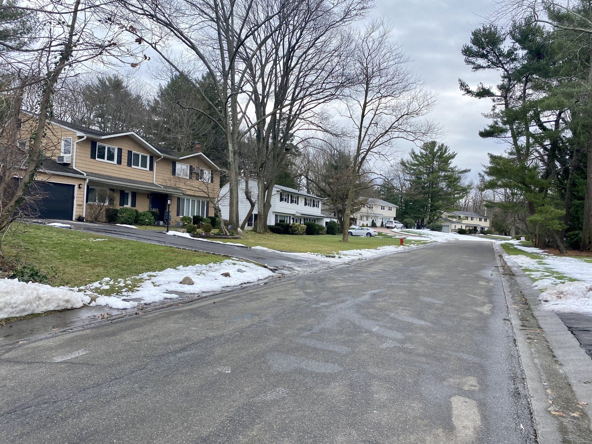 Flower Hill gallery image 3