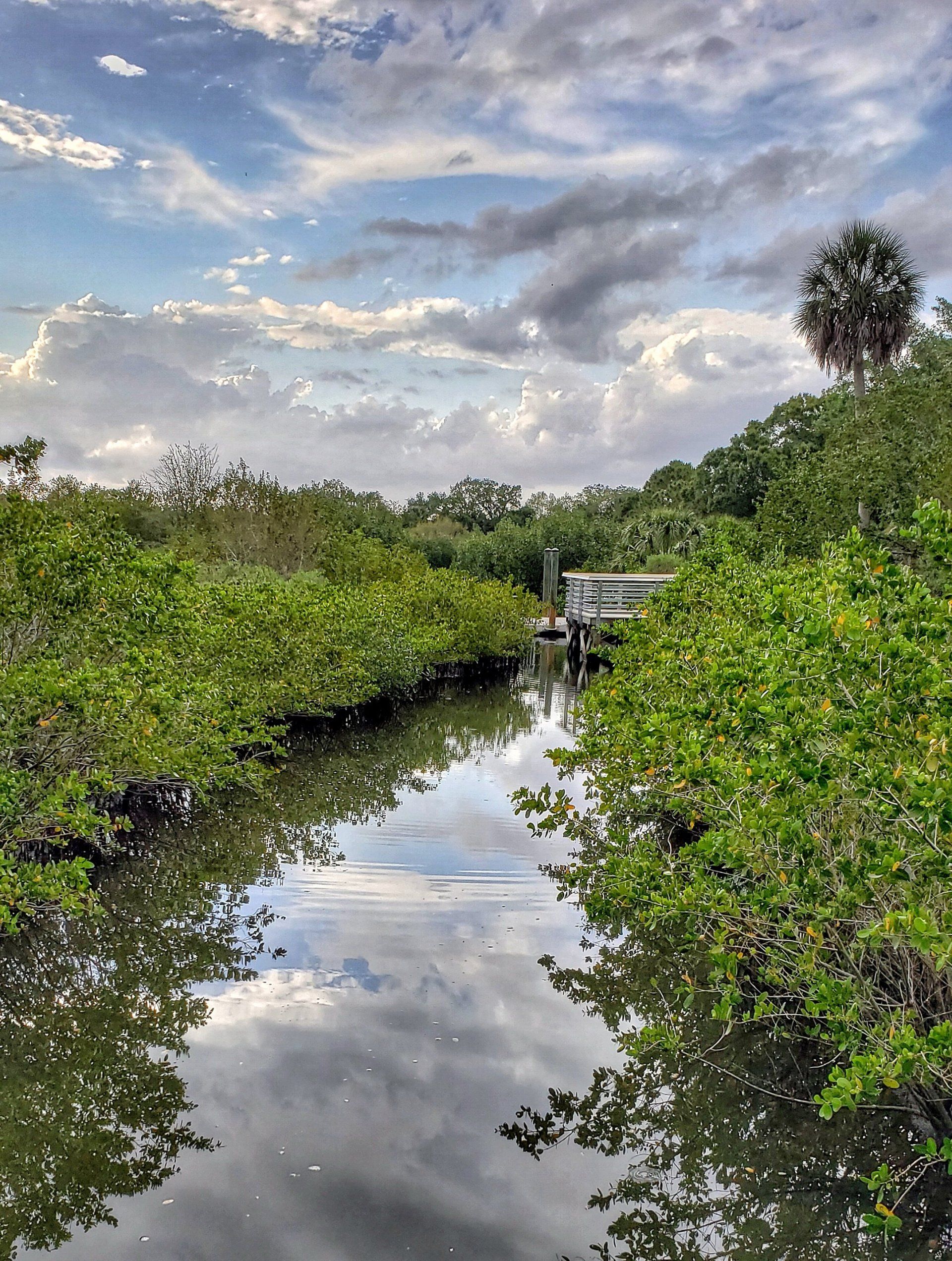 Clam Bayou, FL