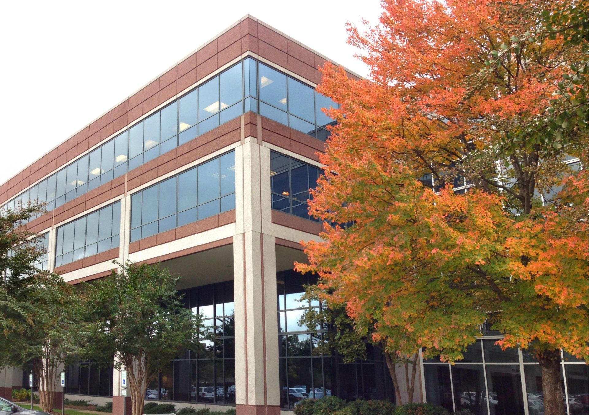 Brentwood gallery image 2