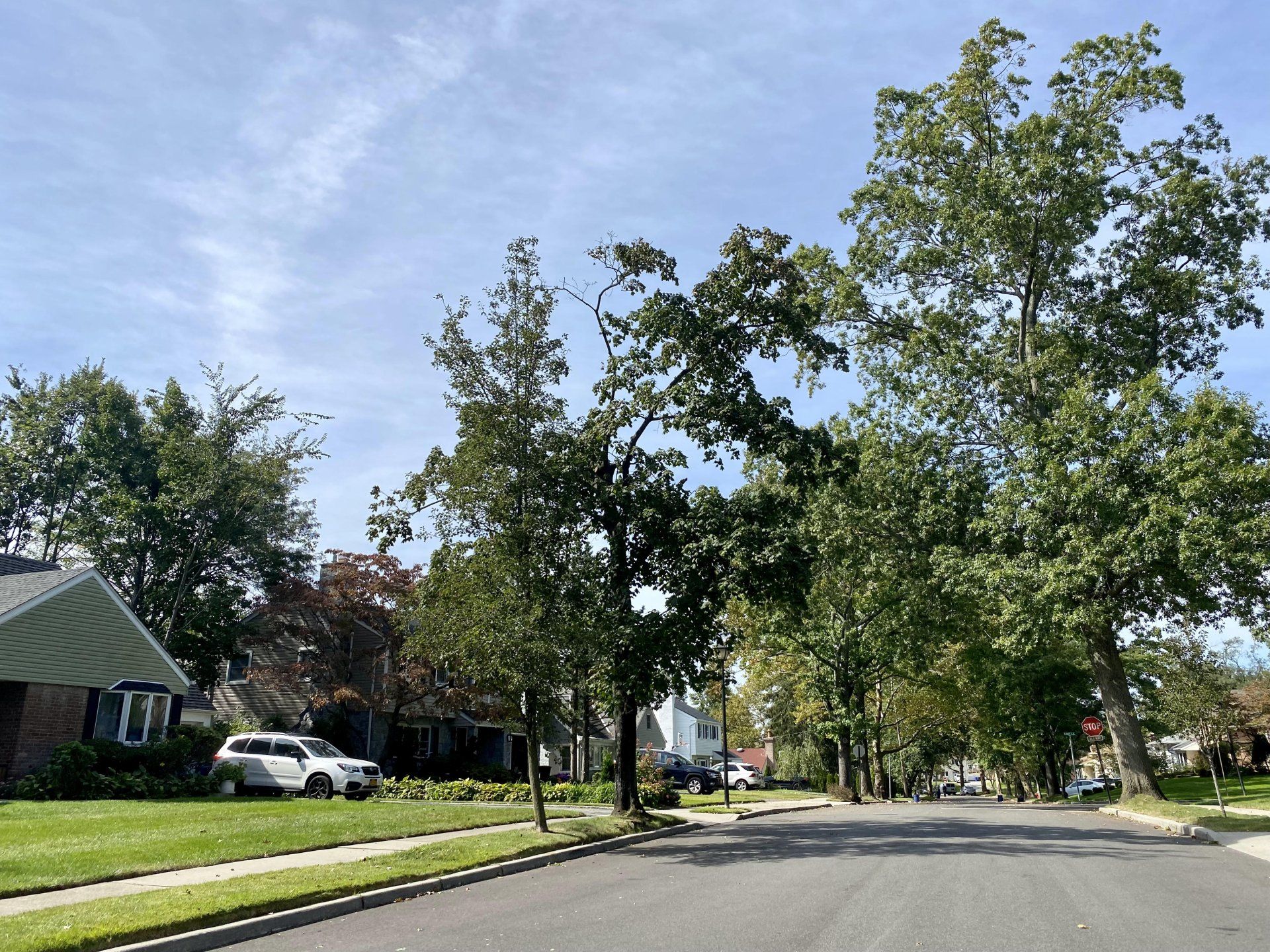 Manhasset Hills gallery image 2