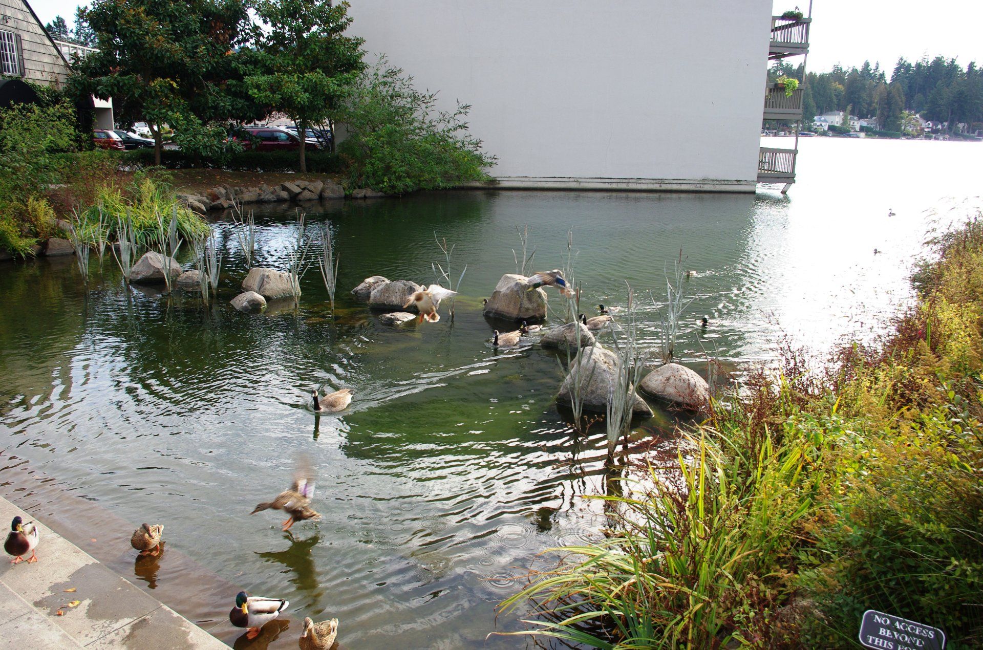 Lake Oswego gallery image 2