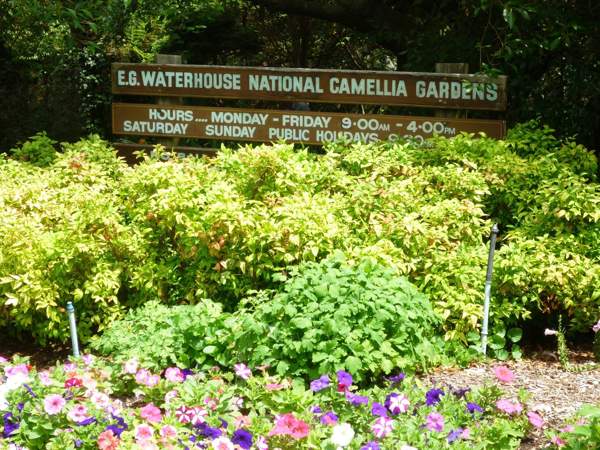 Camellia Gardens, VA