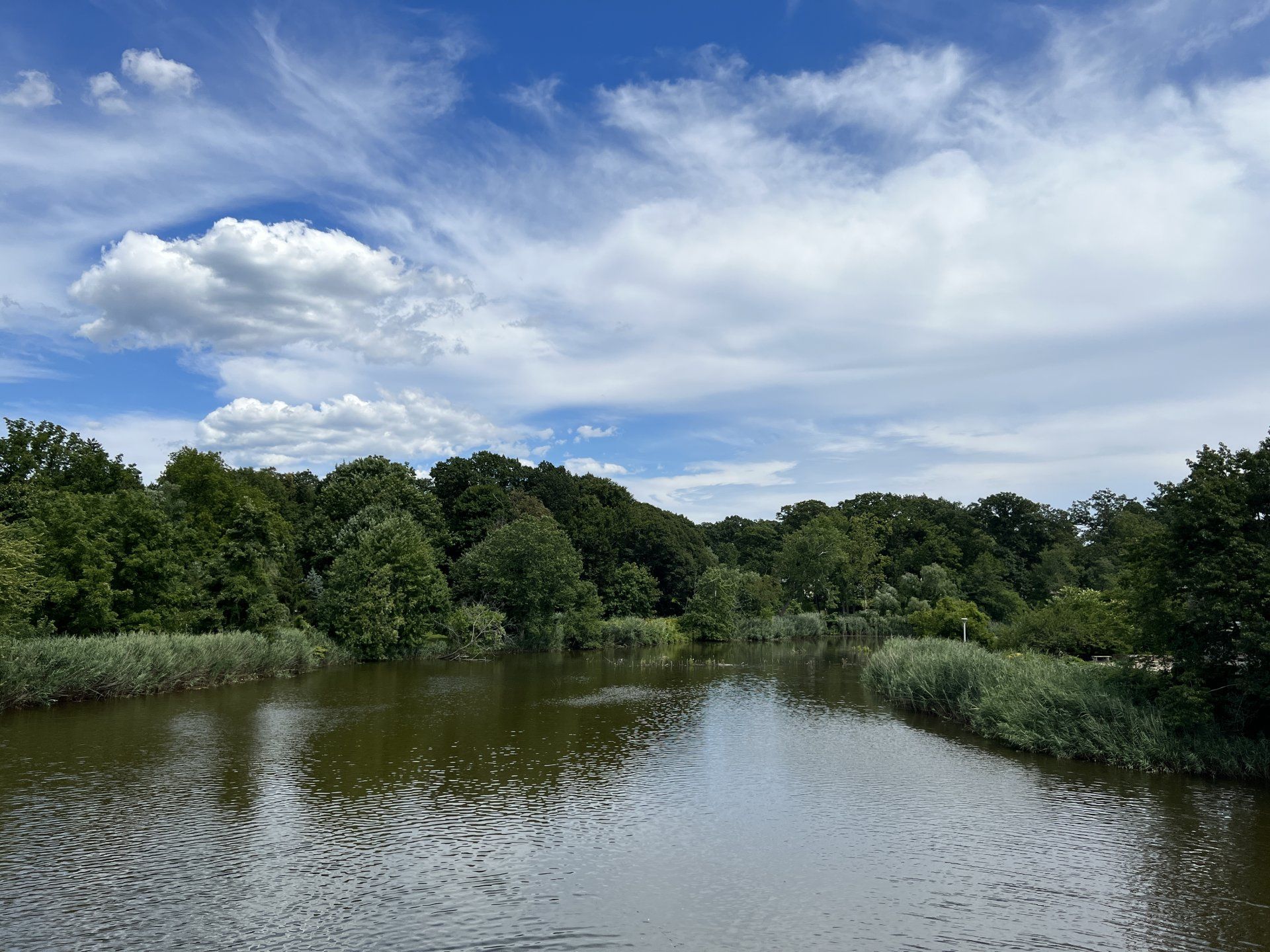 Saddle Rock gallery image 4