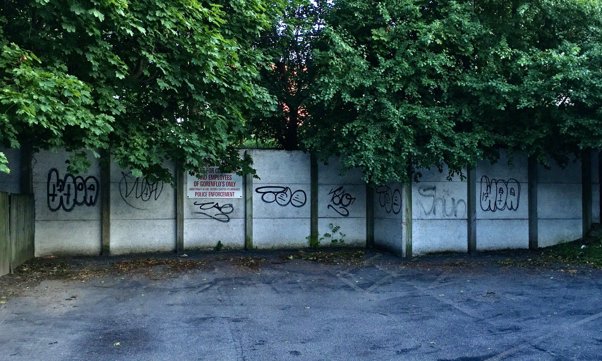 Laurel gallery image 2