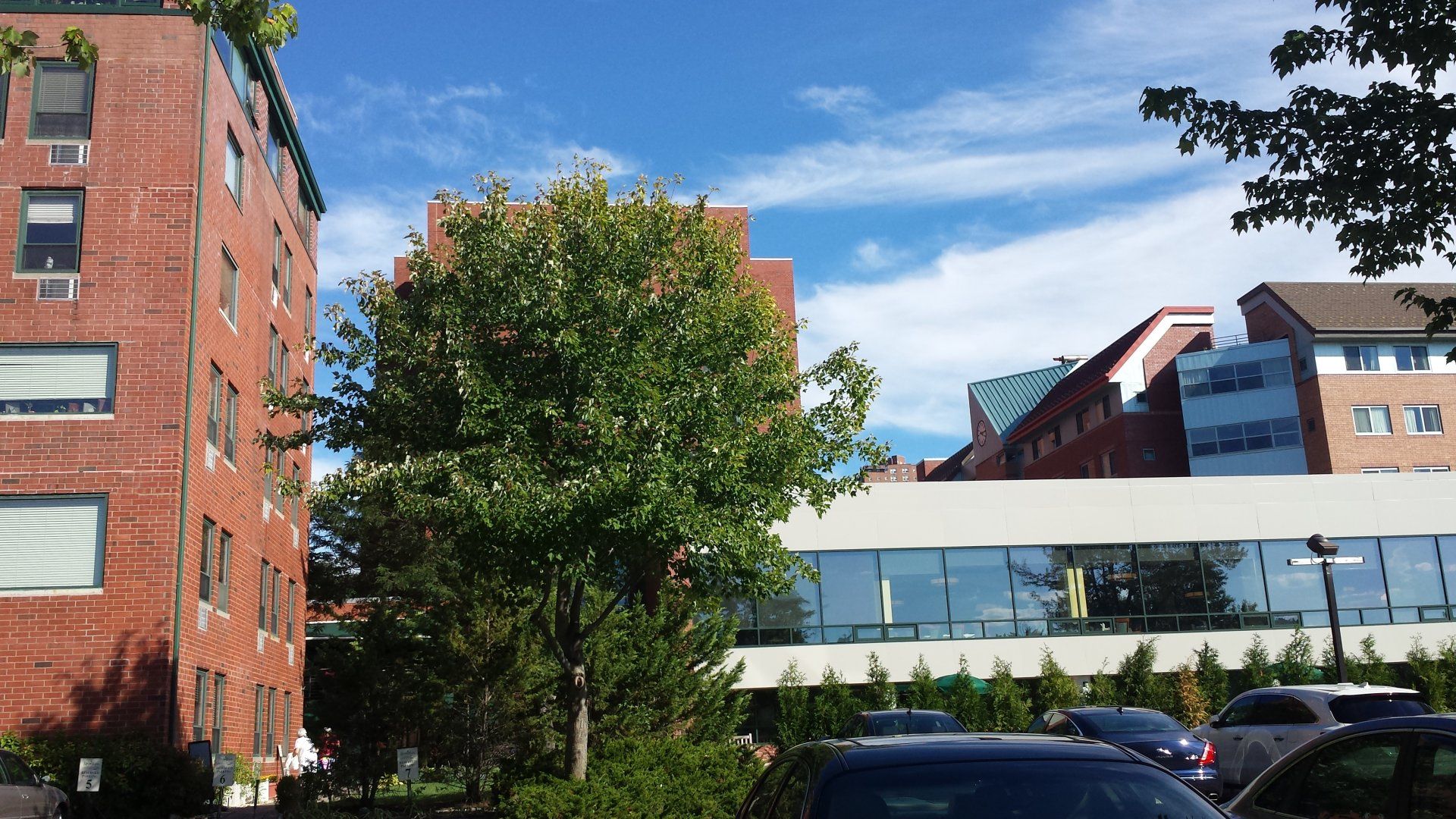 Riverdale gallery image 5