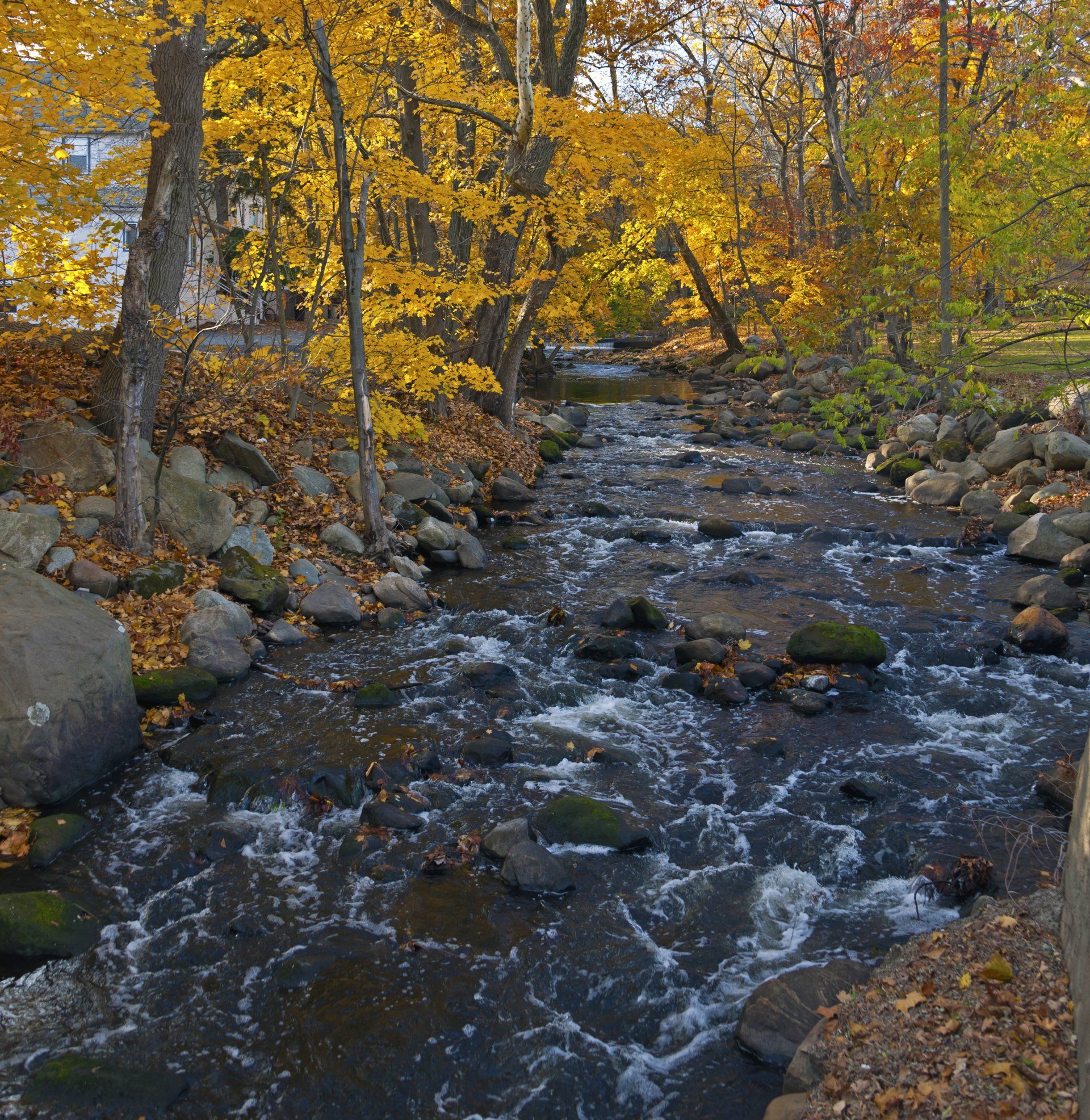 Ho-Ho-Kus gallery image 1