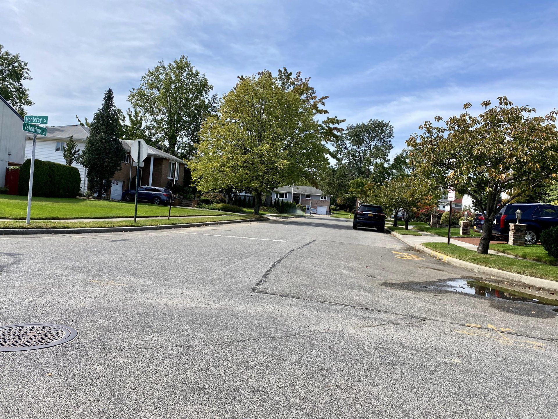 Manhasset Hills gallery image 5