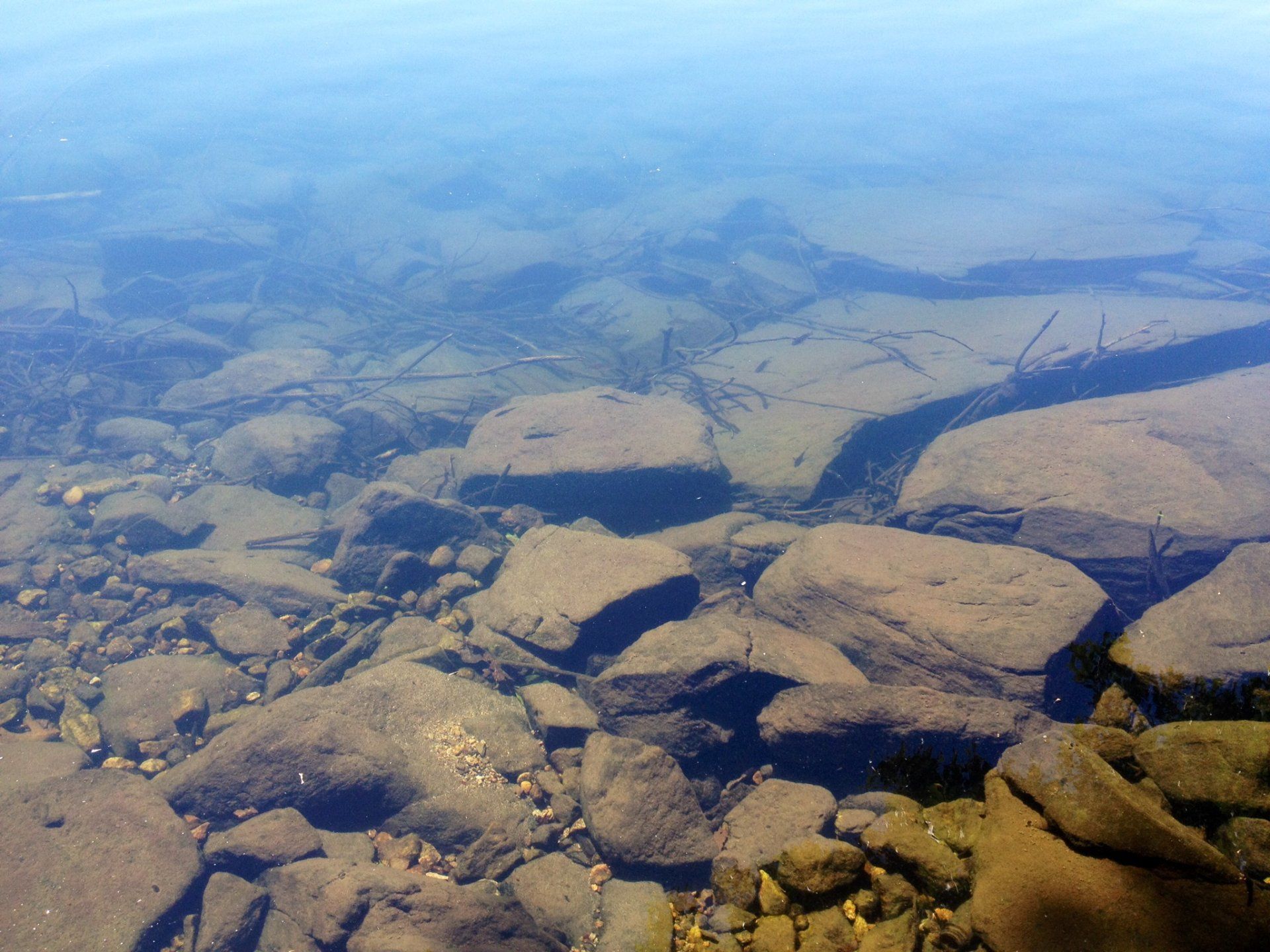 Shenorock, NY