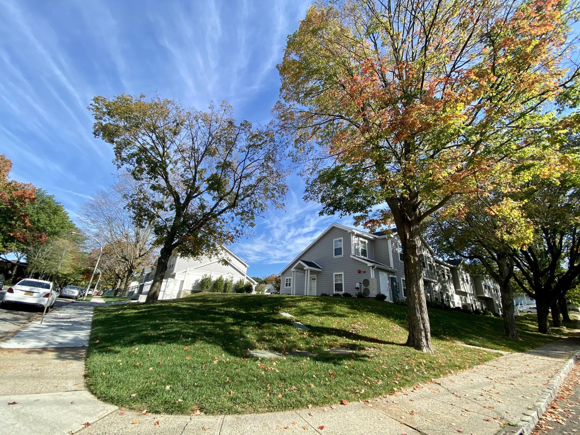 Laurel gallery image 1