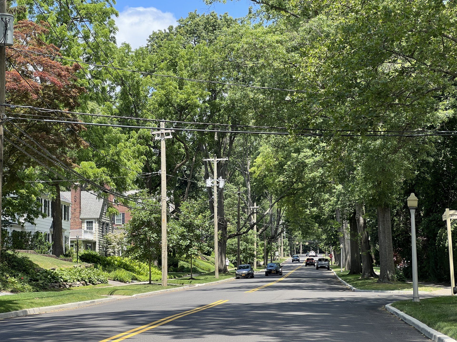 Munsey Park gallery image 6