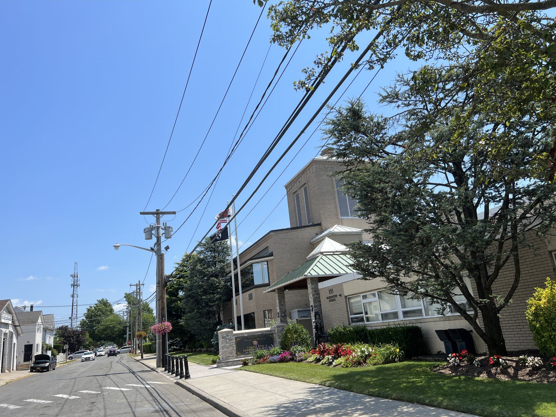 Mineola gallery image 3