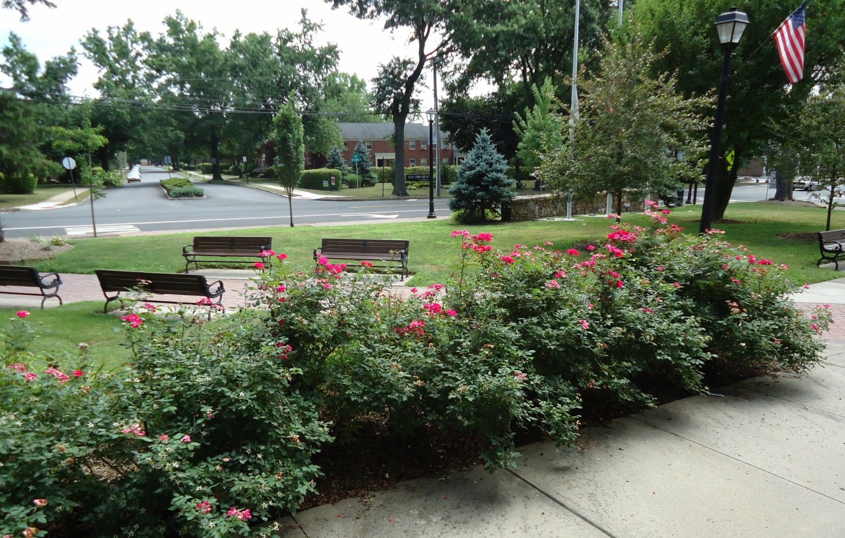 New Providence gallery image 6