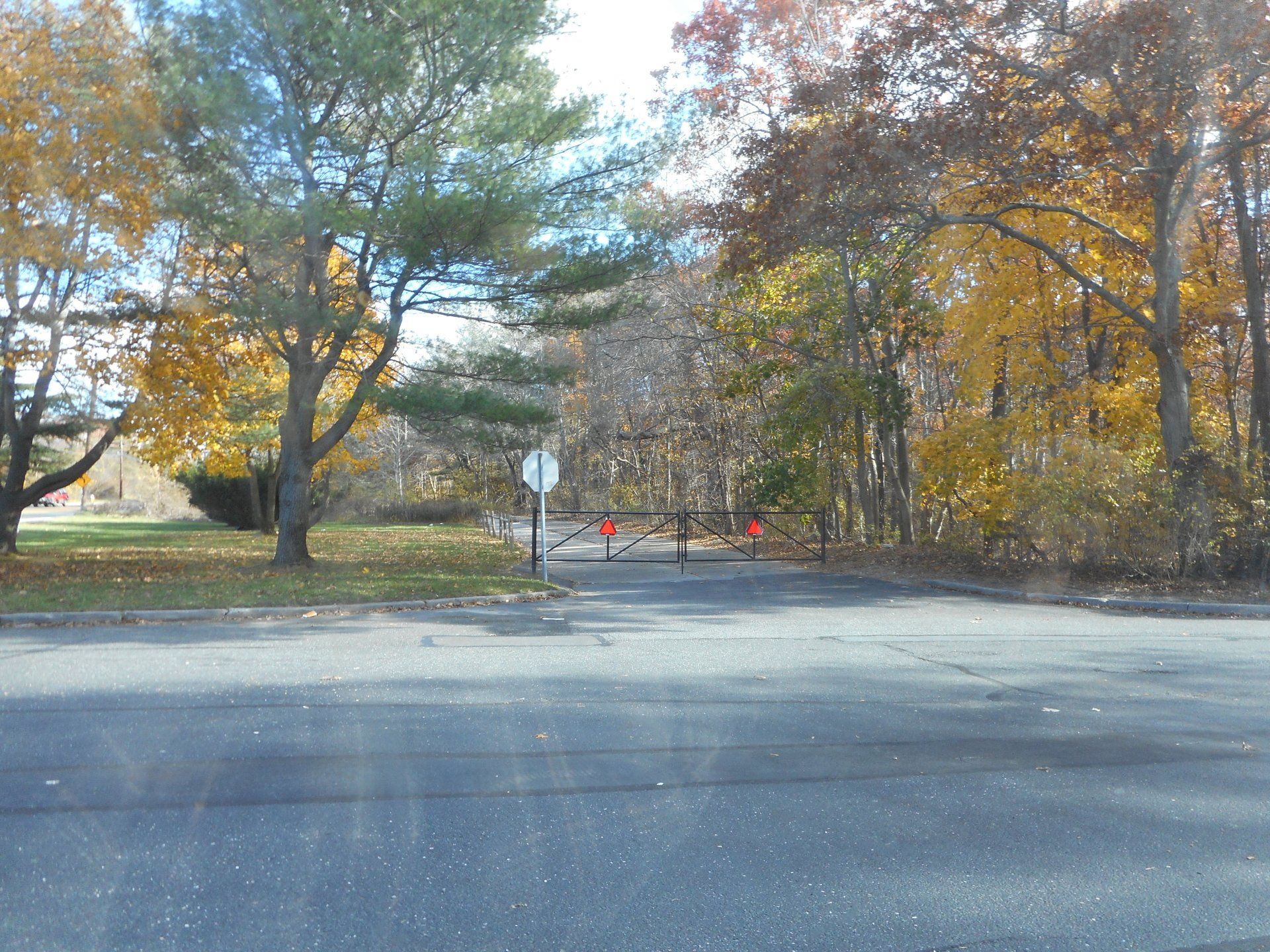 Middle Island gallery image 3