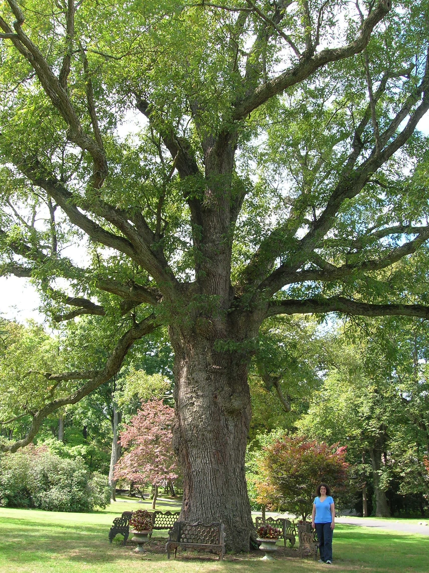 Scarsdale, New York gallery image 1