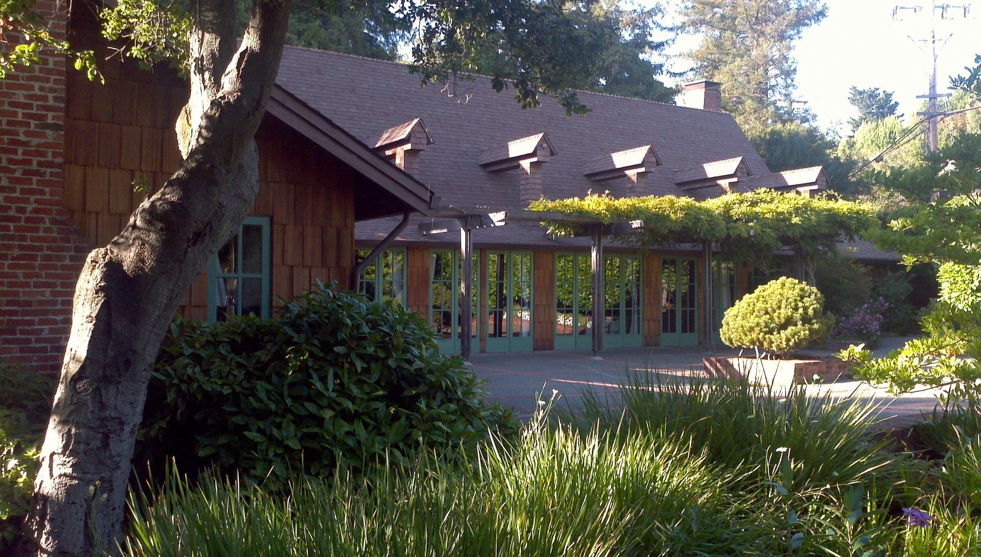 Mill Valley gallery image 4