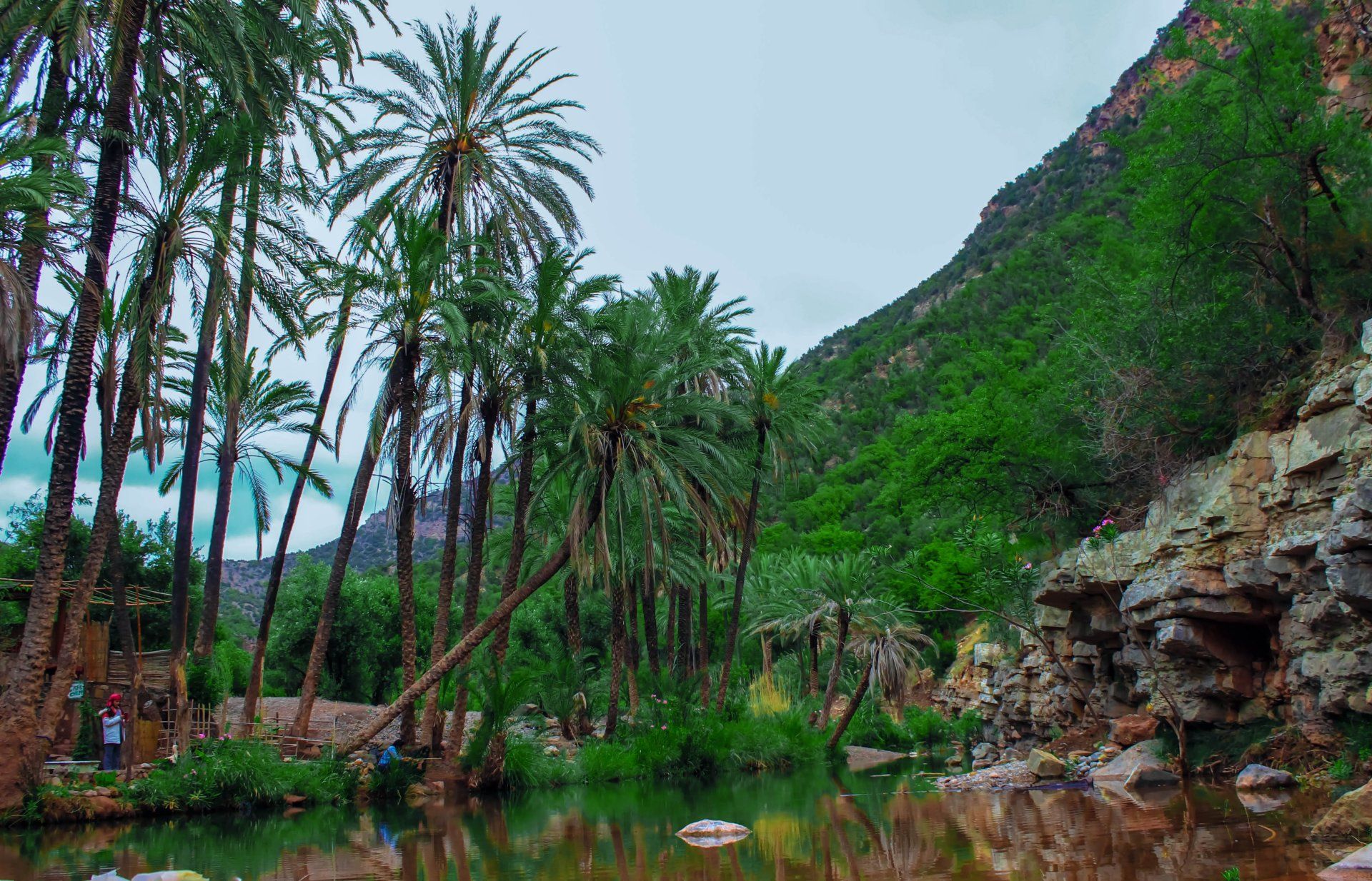 Paradise Valley, AZ