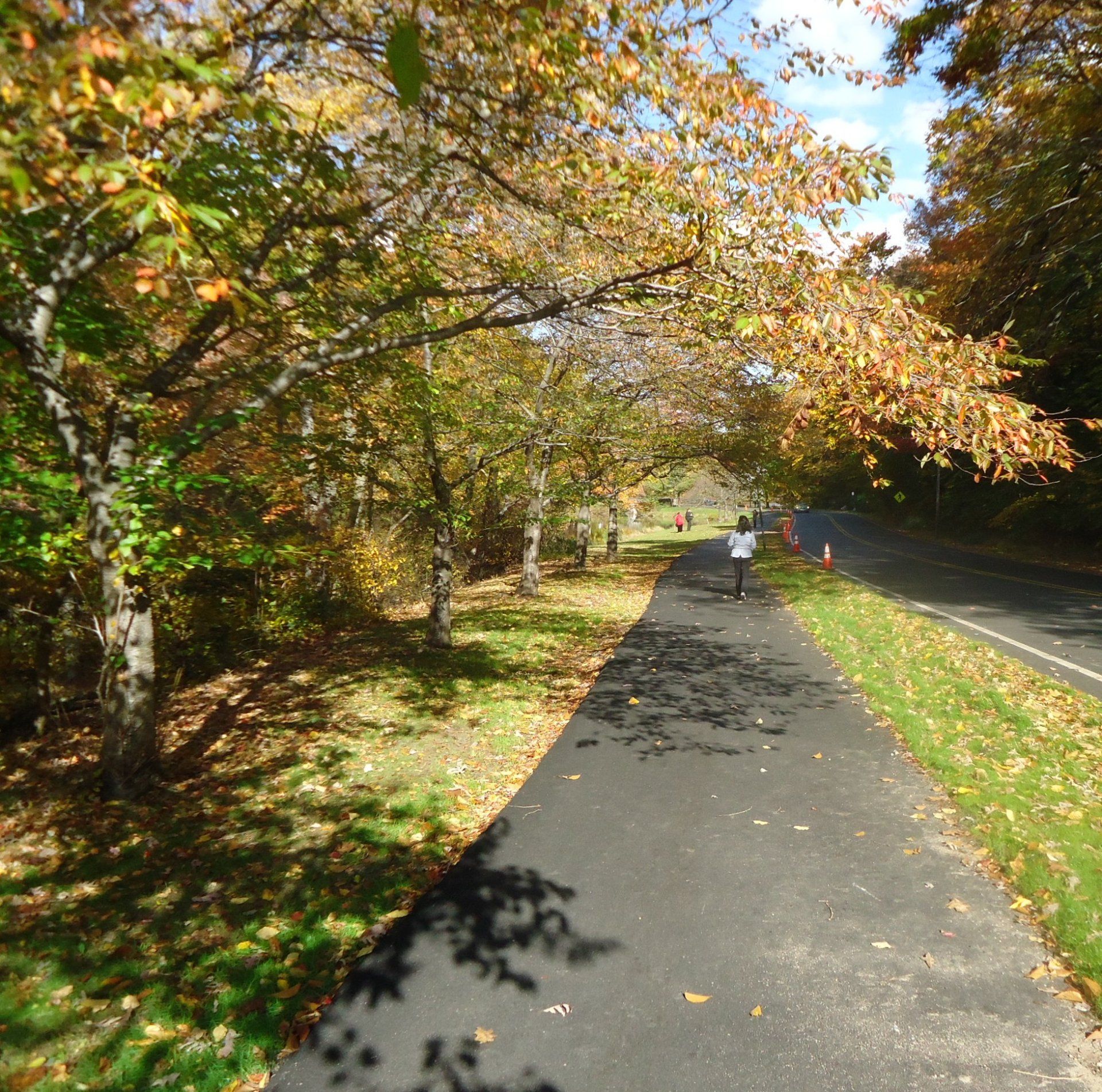 Mountainside gallery image 5