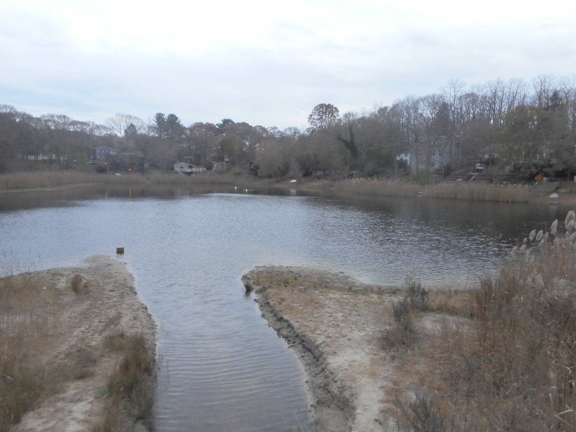 Middle Island gallery image 1