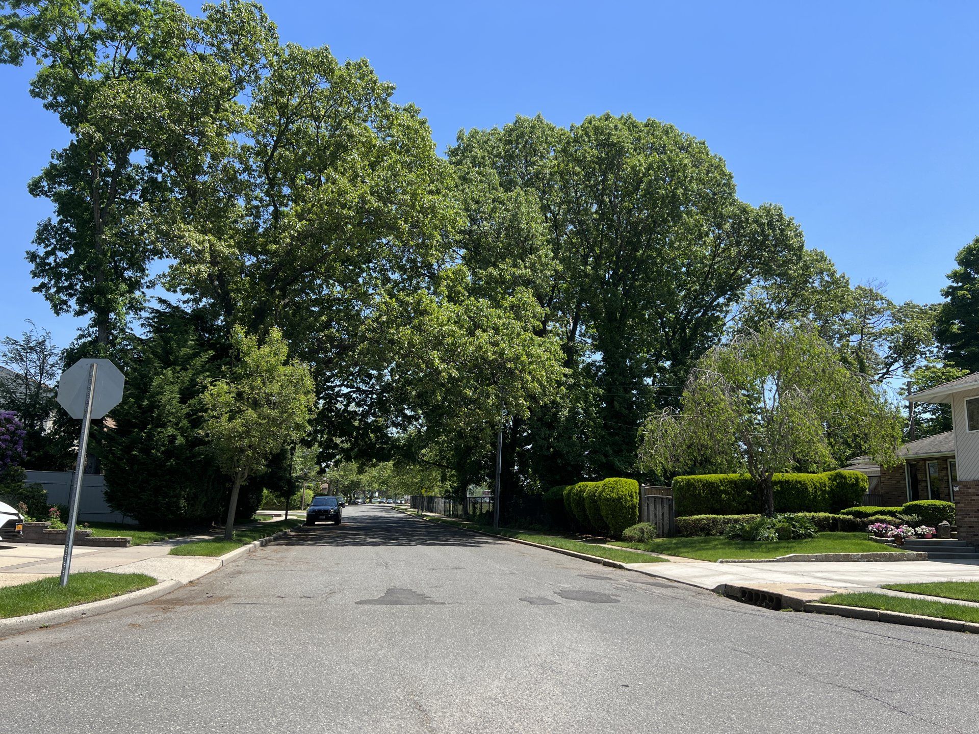 East Meadow gallery image 2