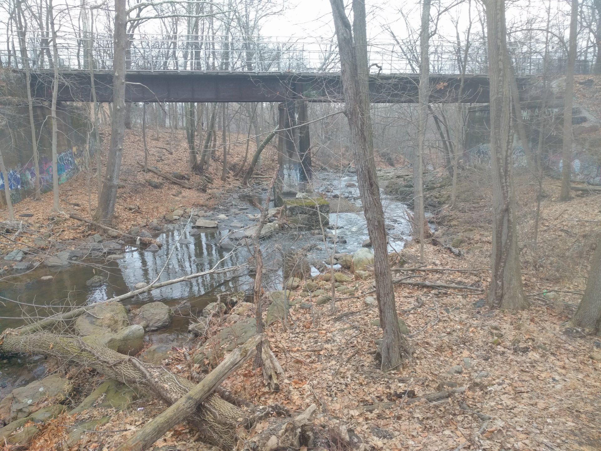 Cedar Grove gallery image 2