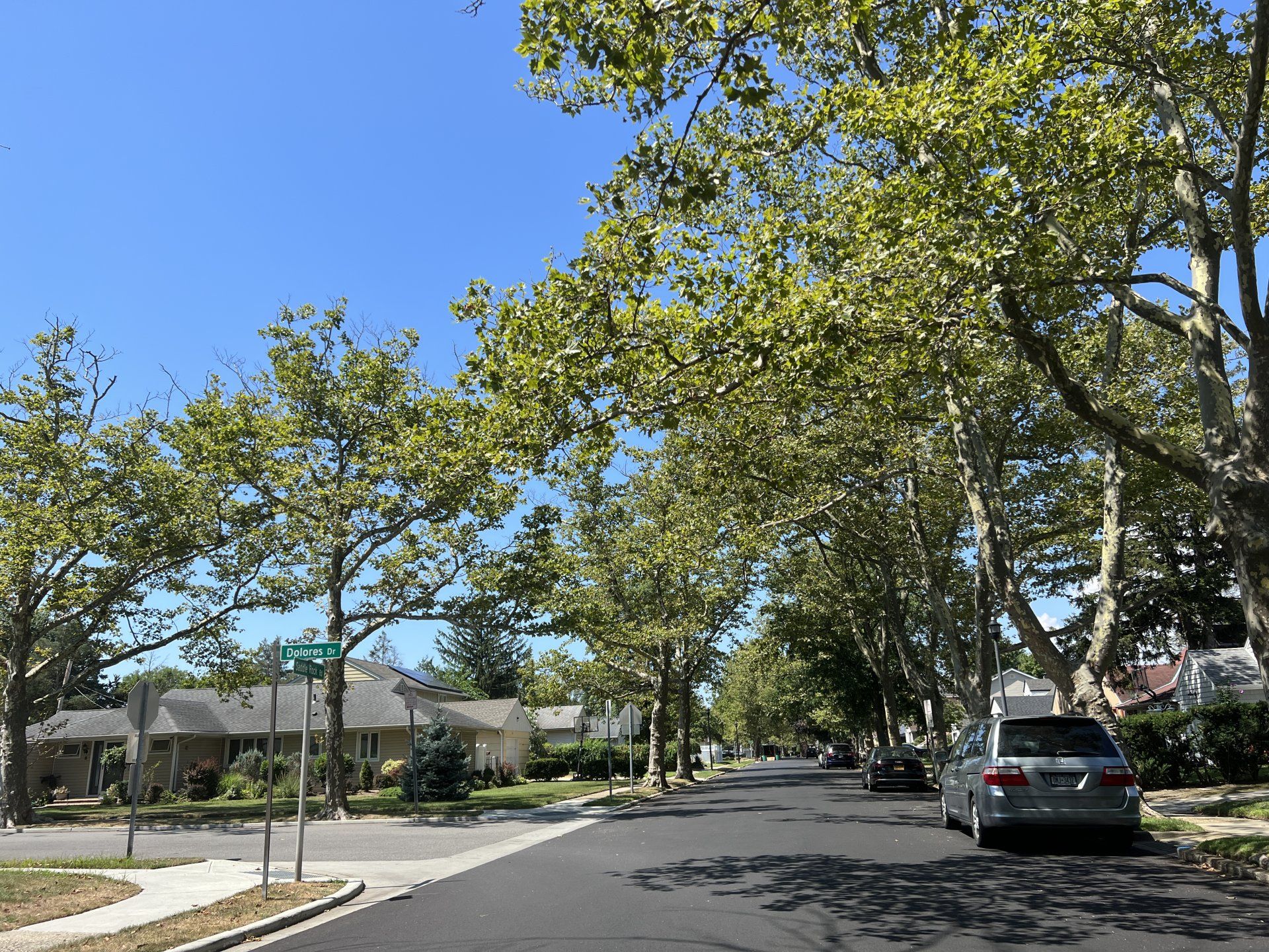 South Valley Stream gallery image 1