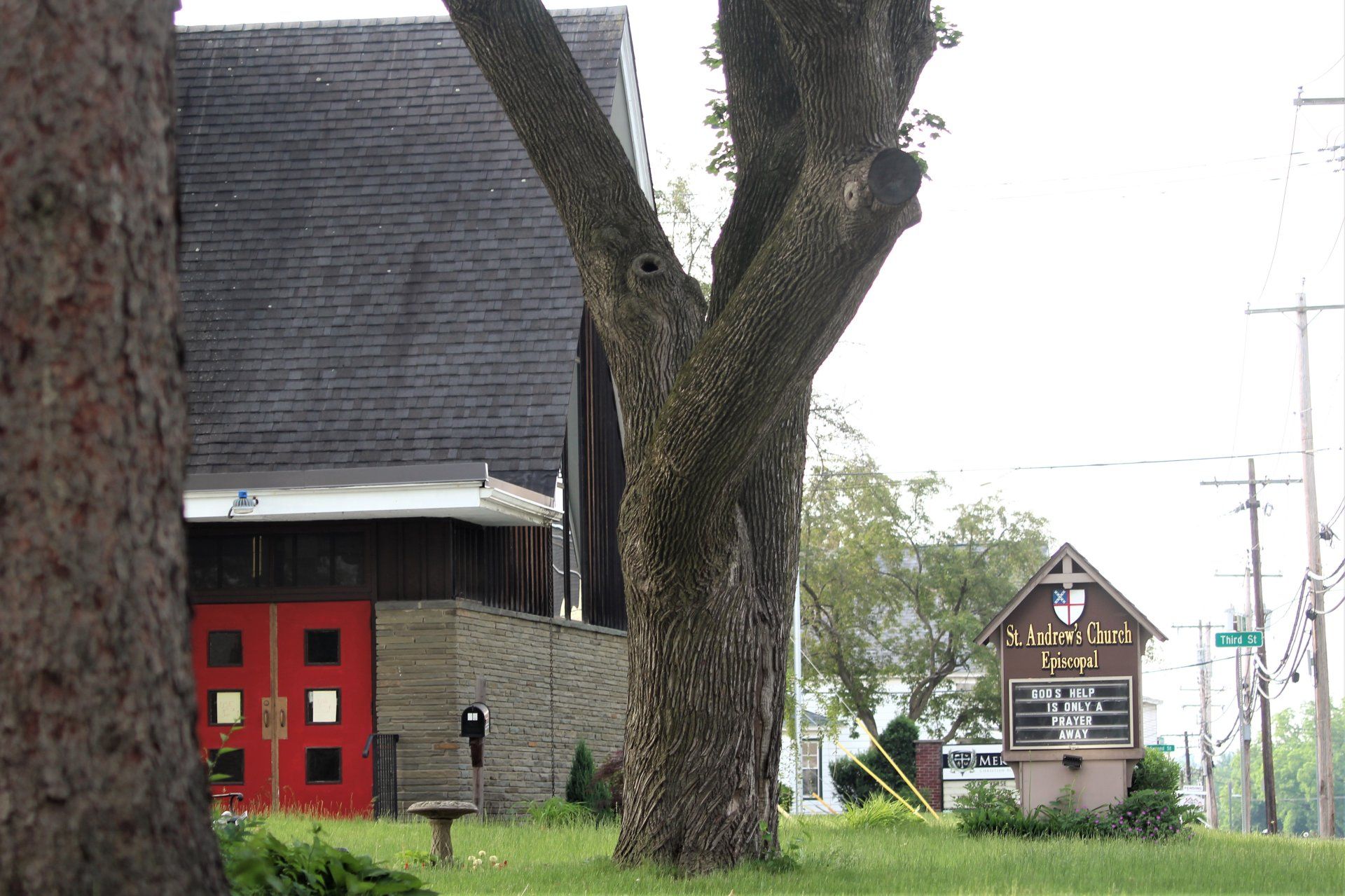 Scotia gallery image 4