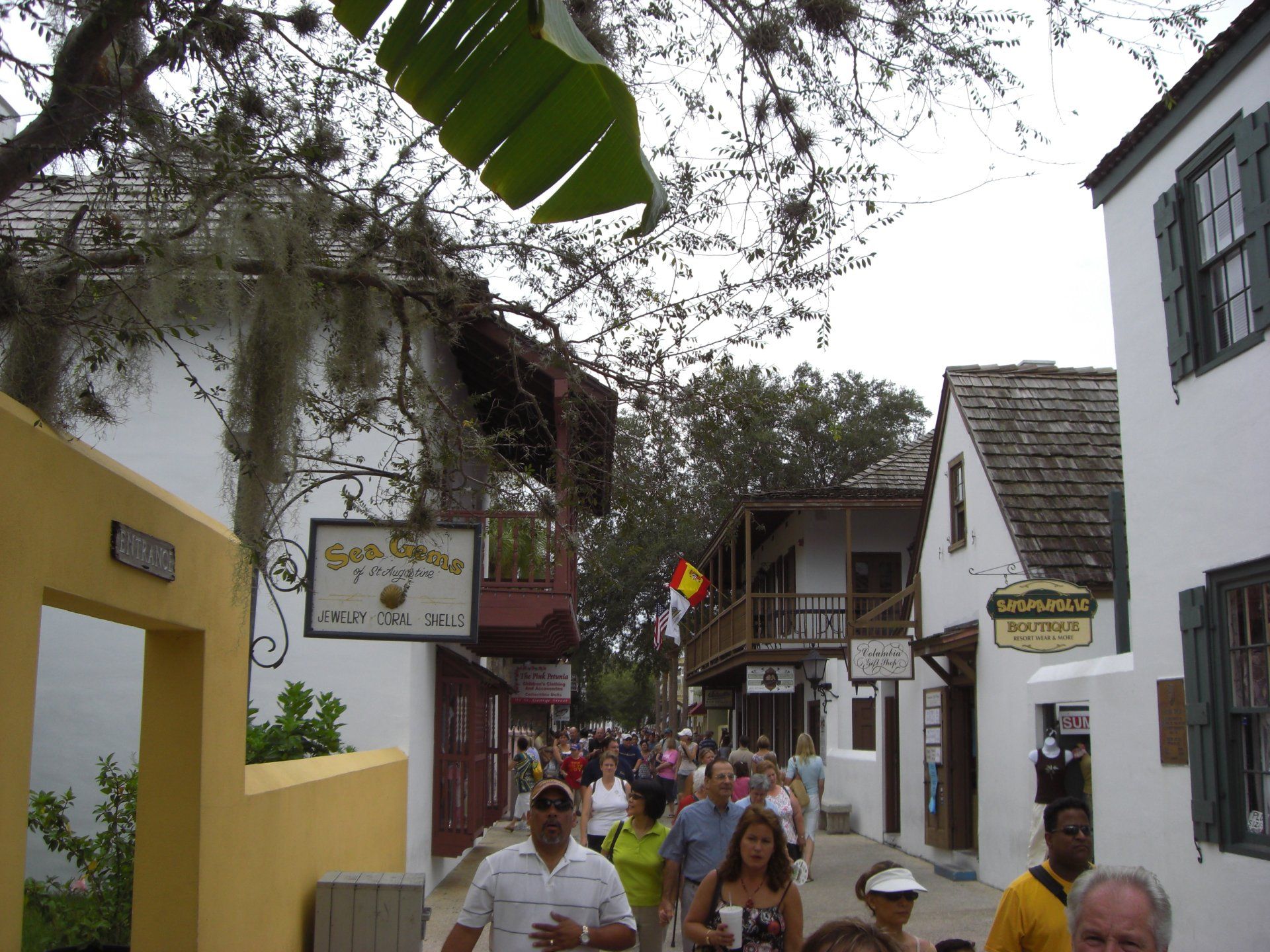 St. Augustine gallery image 2