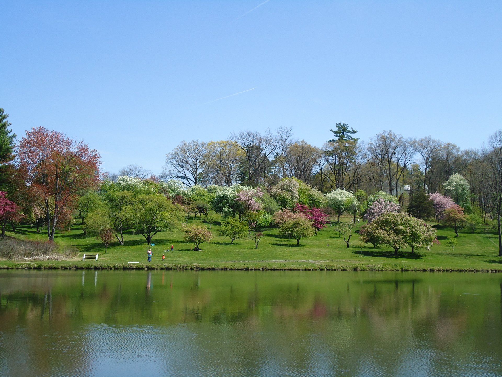 Vassar Park, OH
