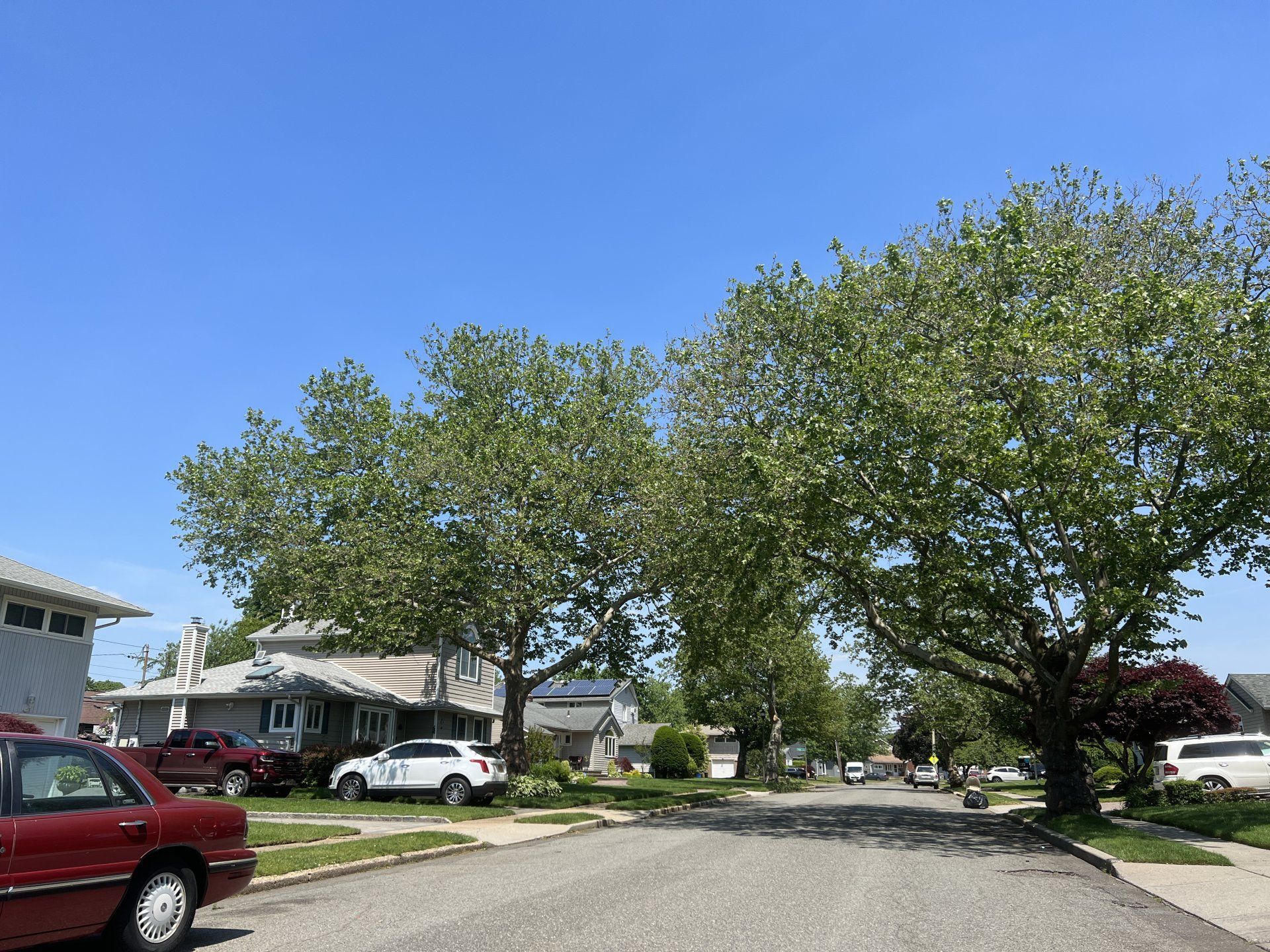 East Meadow gallery image 3