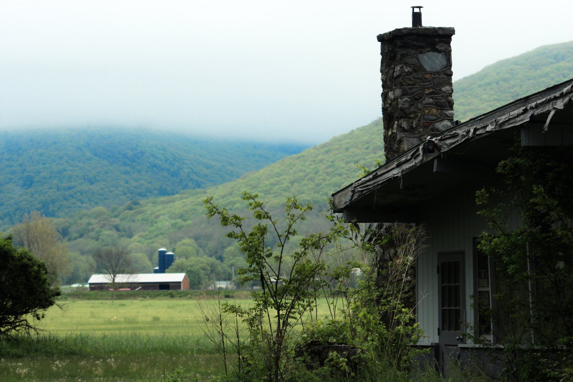 Copake gallery image 2