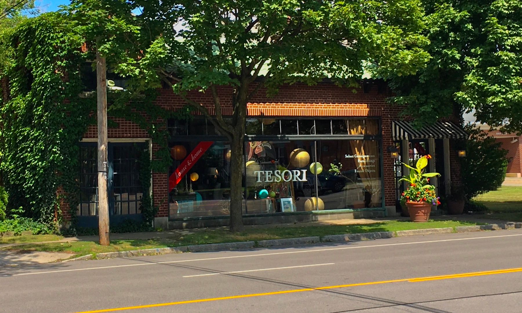 Shirley gallery image 3