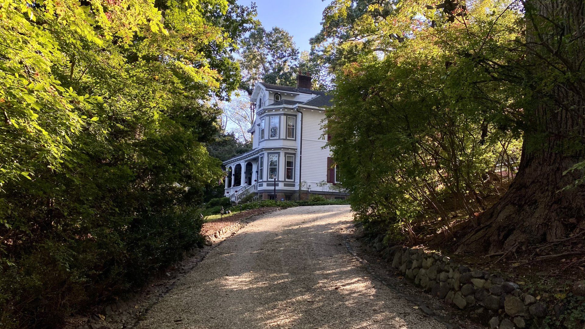 North New Hyde Park gallery image 3