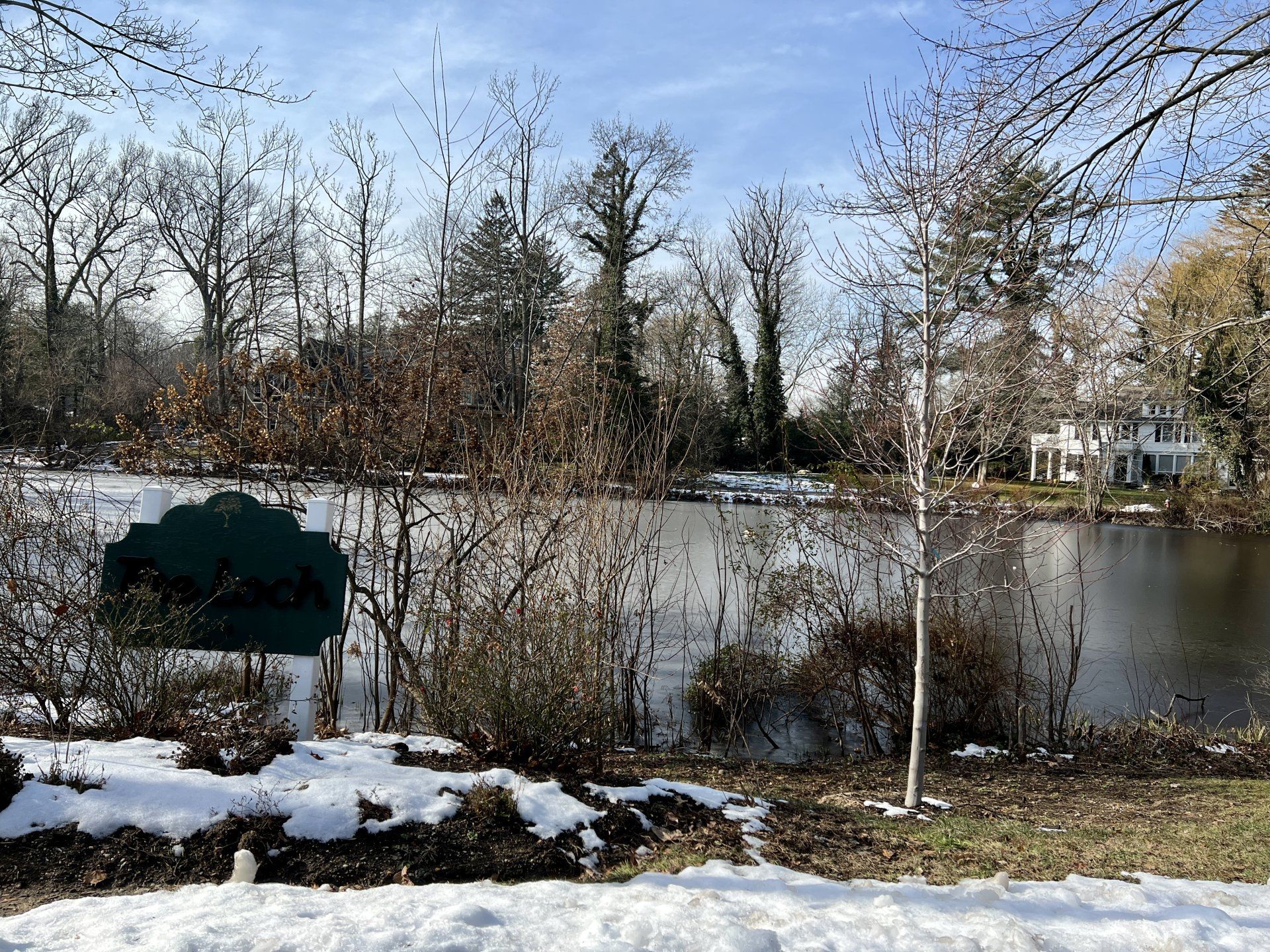 Roslyn Estates gallery image 5