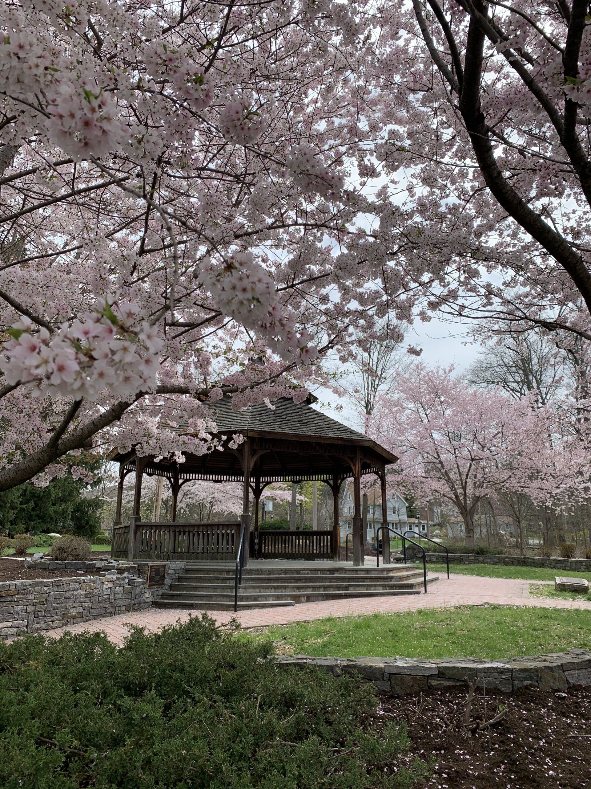 Valley Cottage gallery image 1