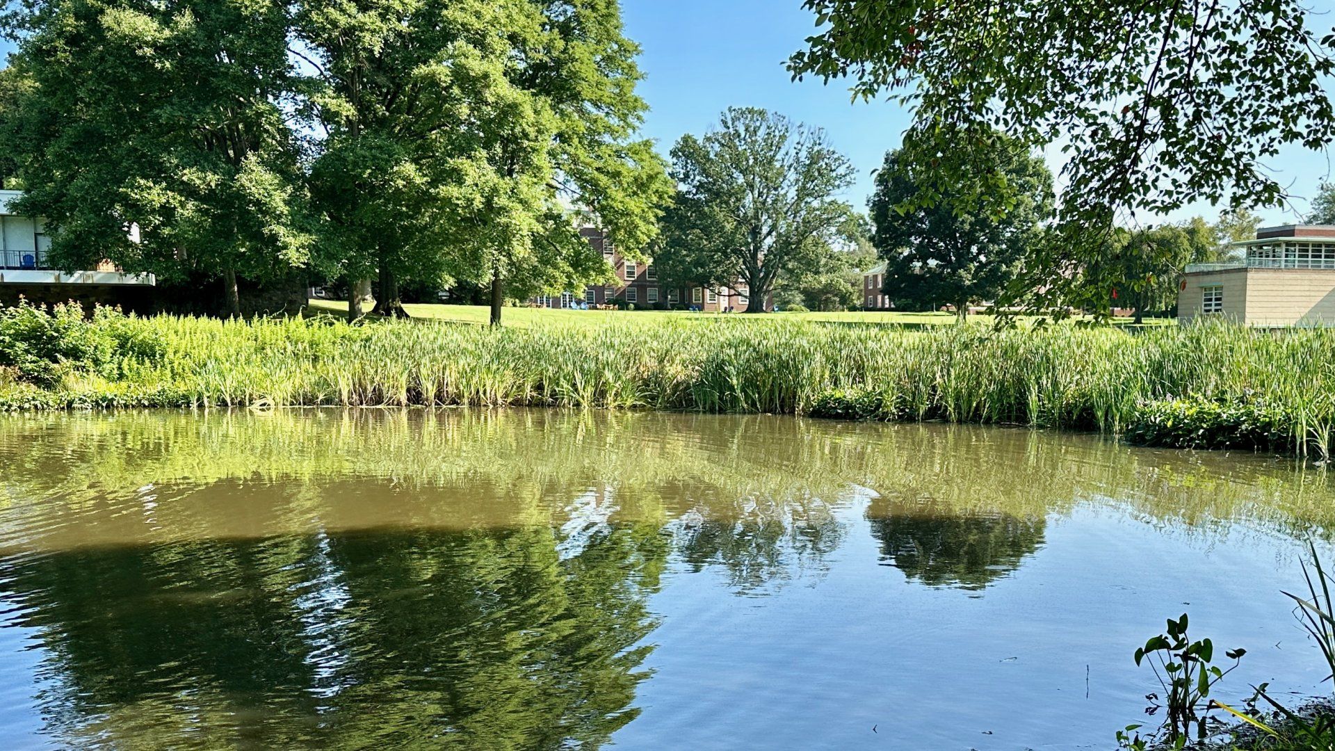 Princeton Junction gallery image 5