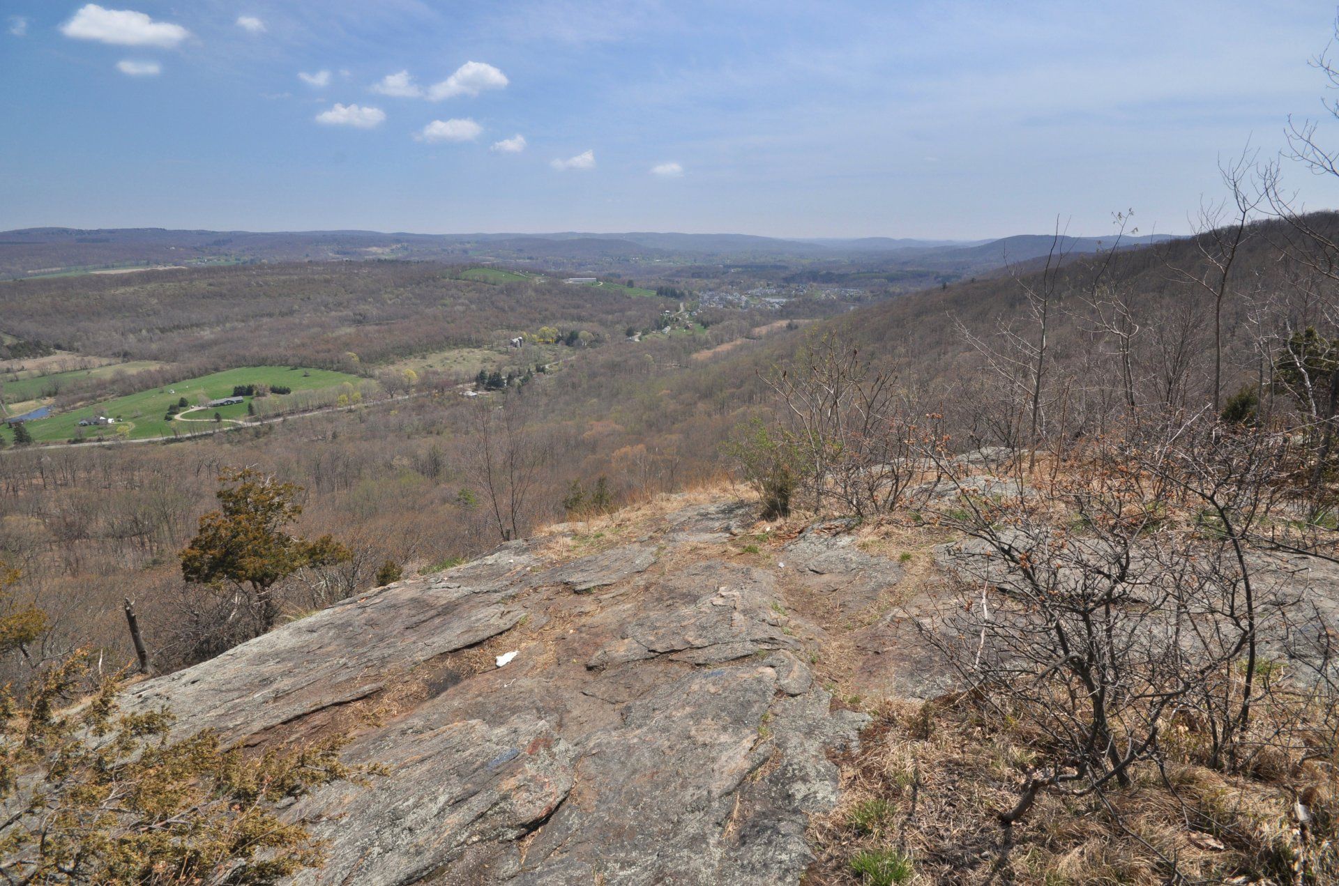 Dover gallery image 4