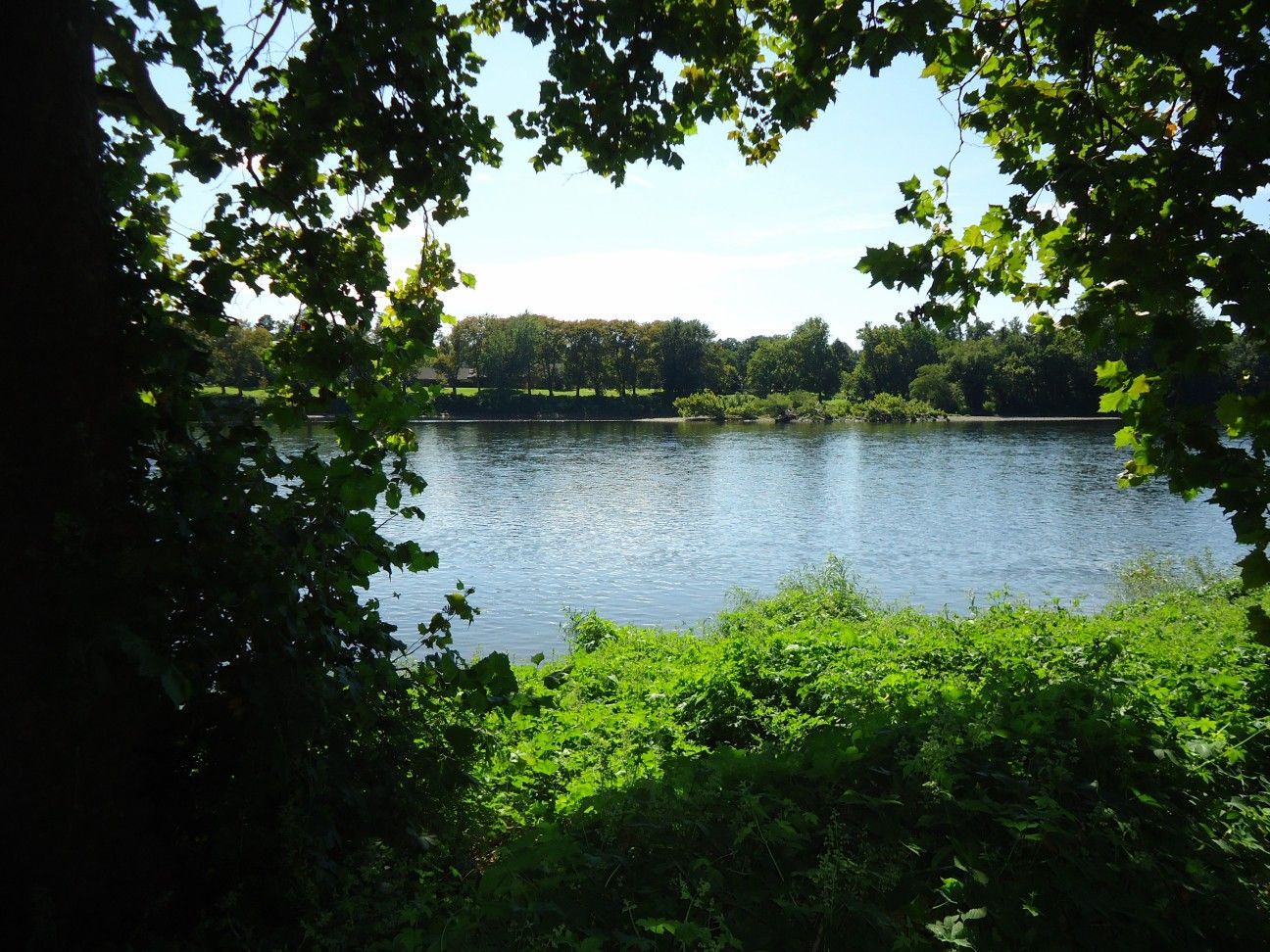 Washington Crossing gallery image 1